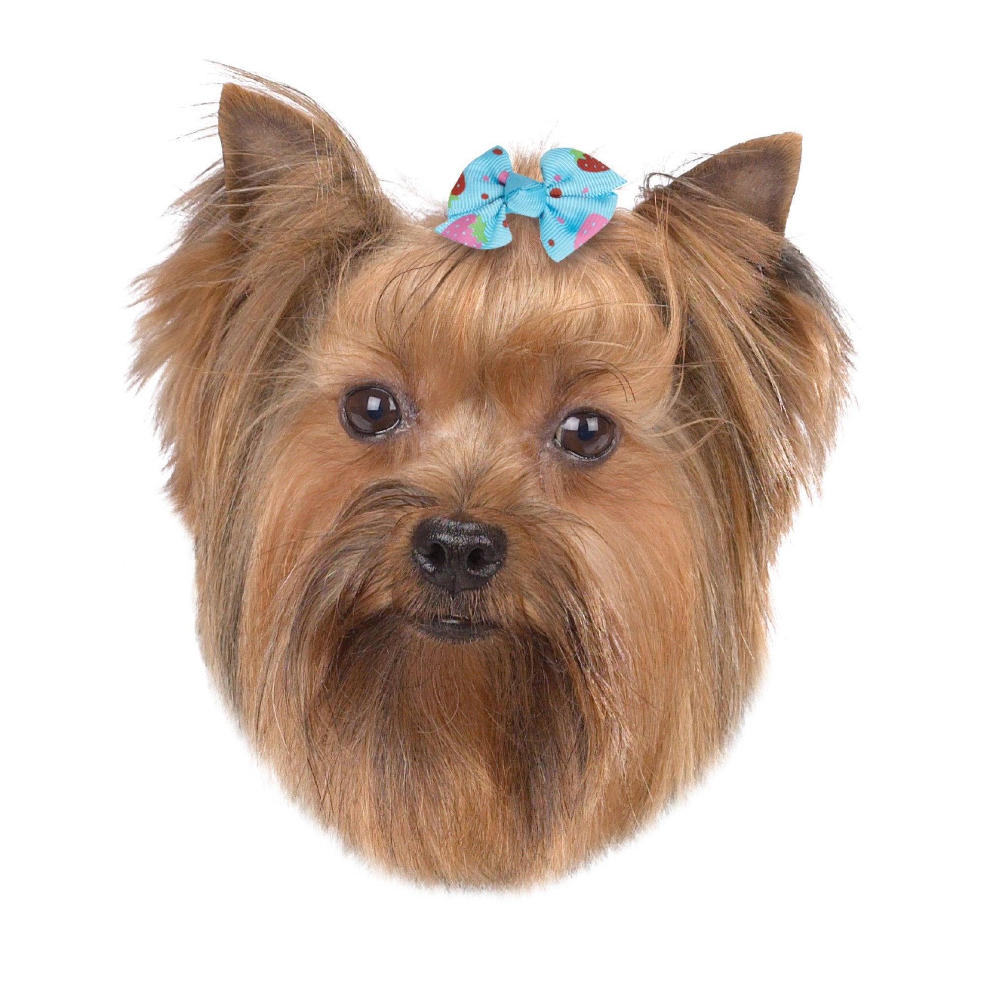 Aria Dixie Bows for Dogs, 50-Piece Canisters