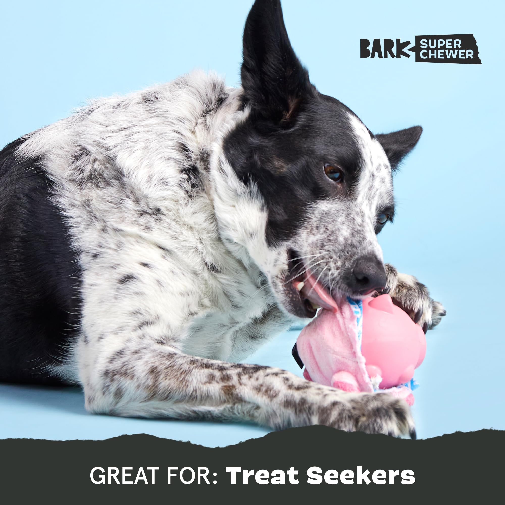 Barkbox Hambone Super Chewer Tough Dog Chew Toy For Aggressive Chewers, Plush Cover With Rubber Core - 2 Toys In 1 - Two Layer T