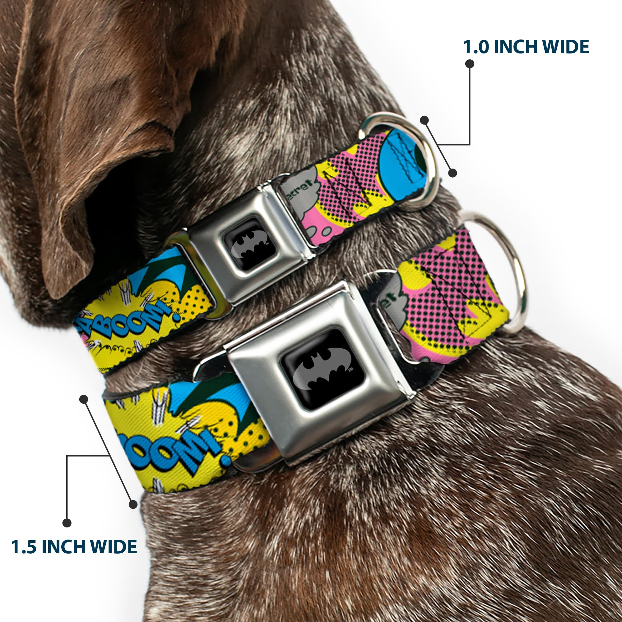 Buckle-Down Seatbelt Buckle Dog Collar - Batgirl-Is She Hero Or Villain? W/Batgirl In Action - 1'' Wide - Fits 11-17'' Neck - Me