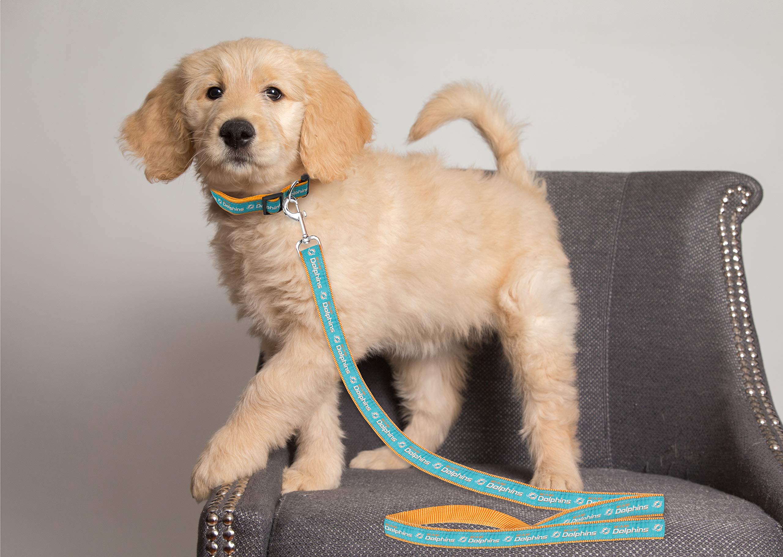 Pets First Miami Dolphins Pet Leash, Large