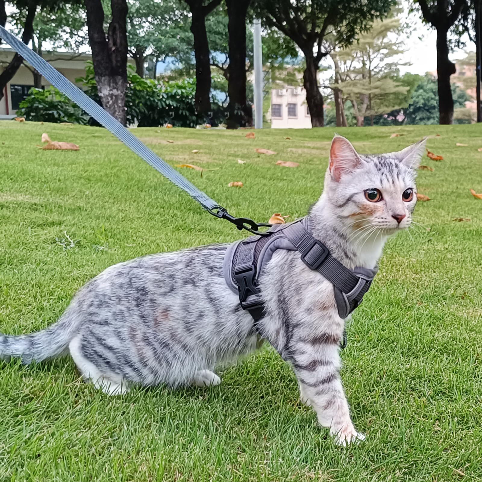 pangdi Cat Harness and Leash Set, Escape Proof Tactical Vest, Large, Grey, Nylon