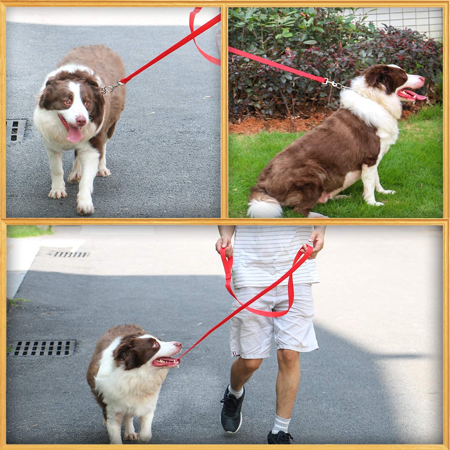 Amagood 6 Ft Puppy/Dog Leash, Strong And Durable Traditional Style Leash With Easy To Use Collar Hook,Dog Lead Great For Small And Medium And Large Dog (1 In X 6 Ft(Pack Of 1), Red)
