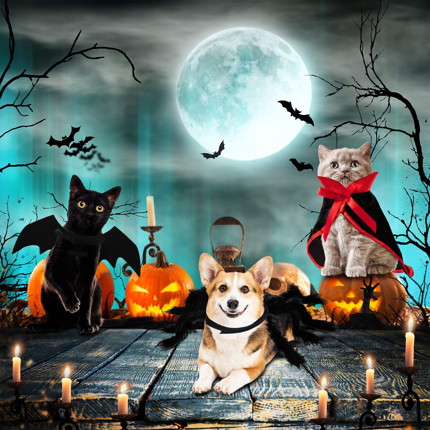 3 Piece Halloween Cat Dog Costume Set, Pet Bat Witch Vampire Pumpkin Cloak Giant Imitation Pet Spider Pets Costume Cosplay Accessories Halloween Pets Decoration For Dogs Puppy Cats (Gothic,M)