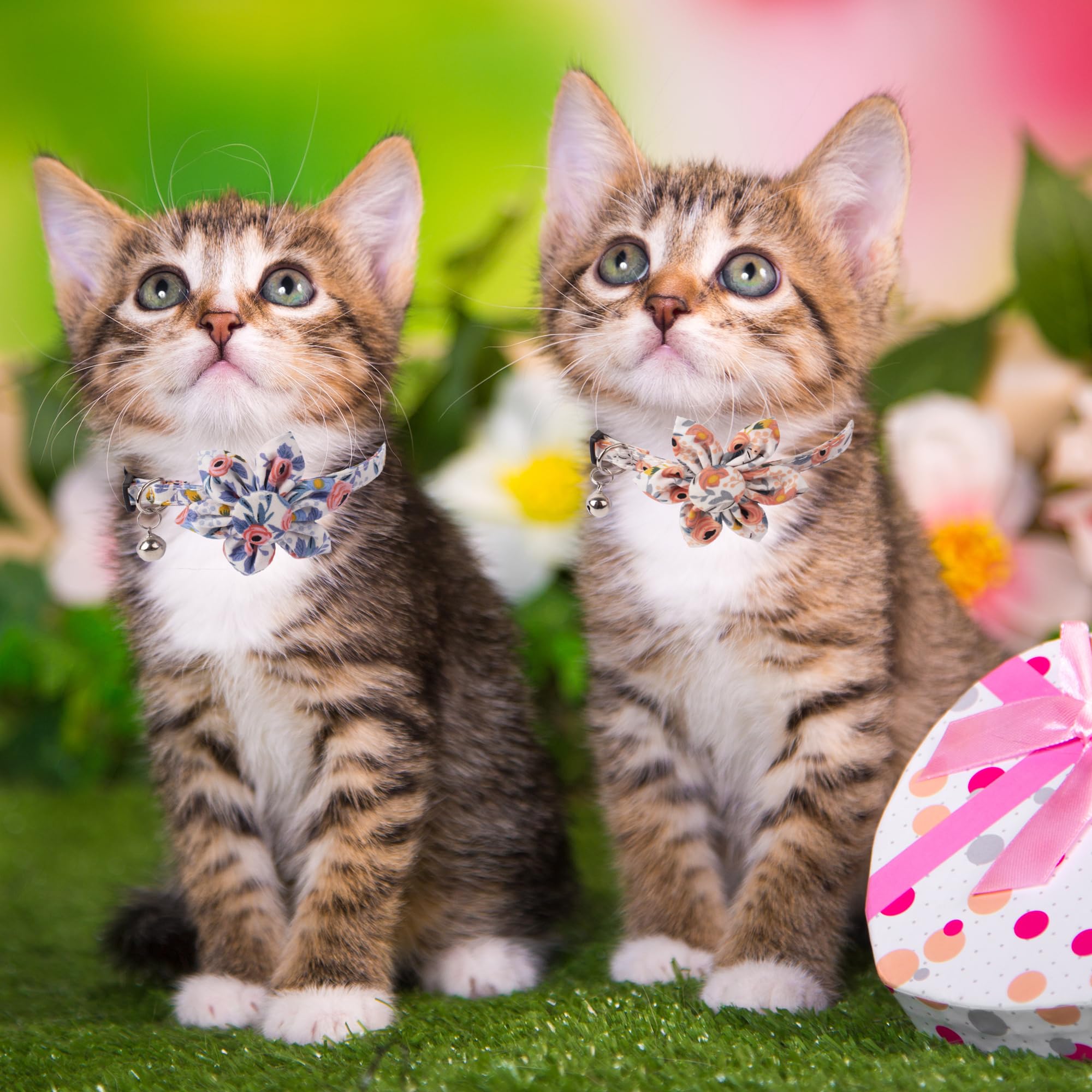 Adoggygo Floral Cat Collar With Bells, 2 Pack Girl Kitten Collar With Removable Floral, Adjustable Flower Collars For Cats (Oran