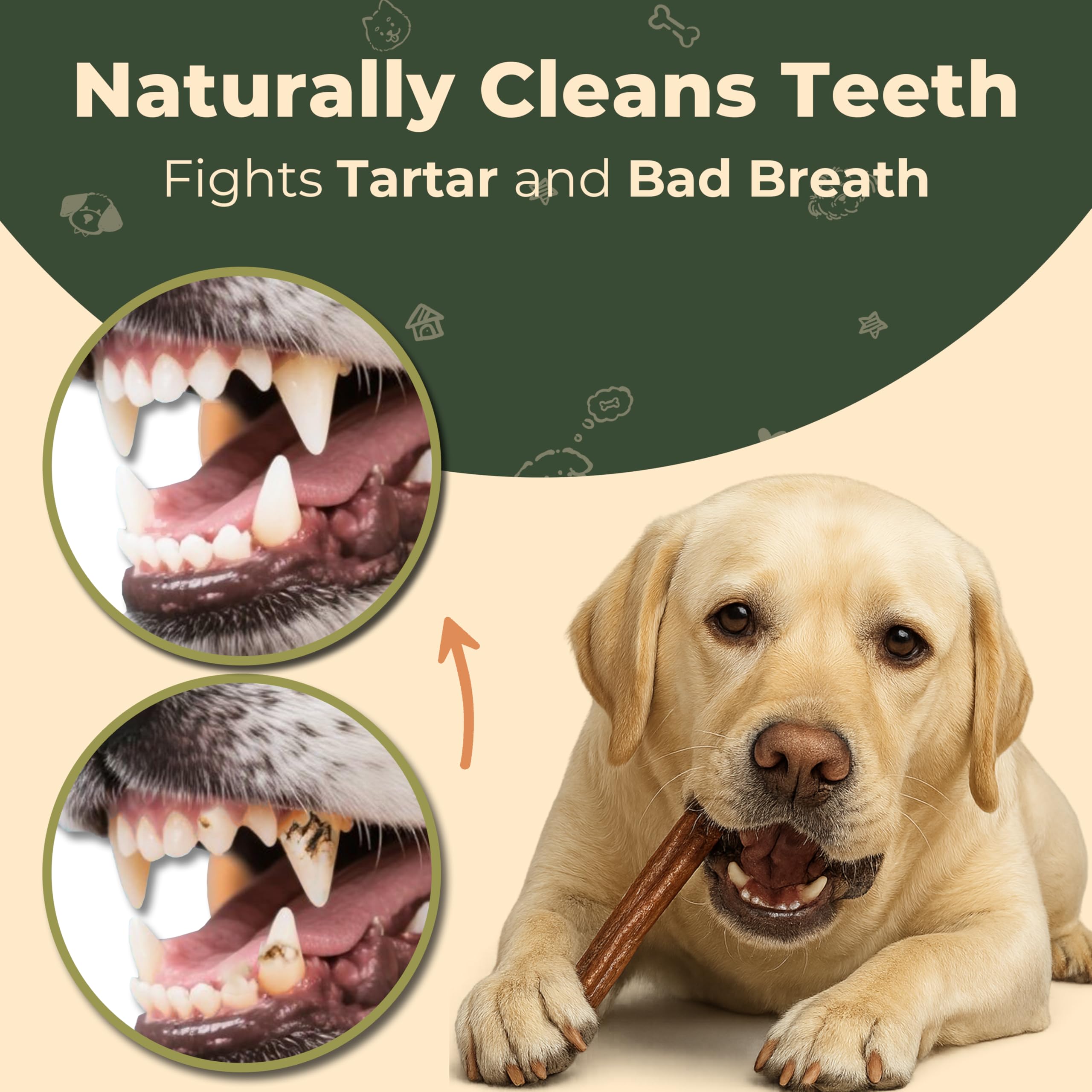 The Paw Collective Bully Stick Dog Treats - Odor Free, 6" Chew Sticks, 5 Pack, Natural Dental Chew, Free Range Grass Fed Beef