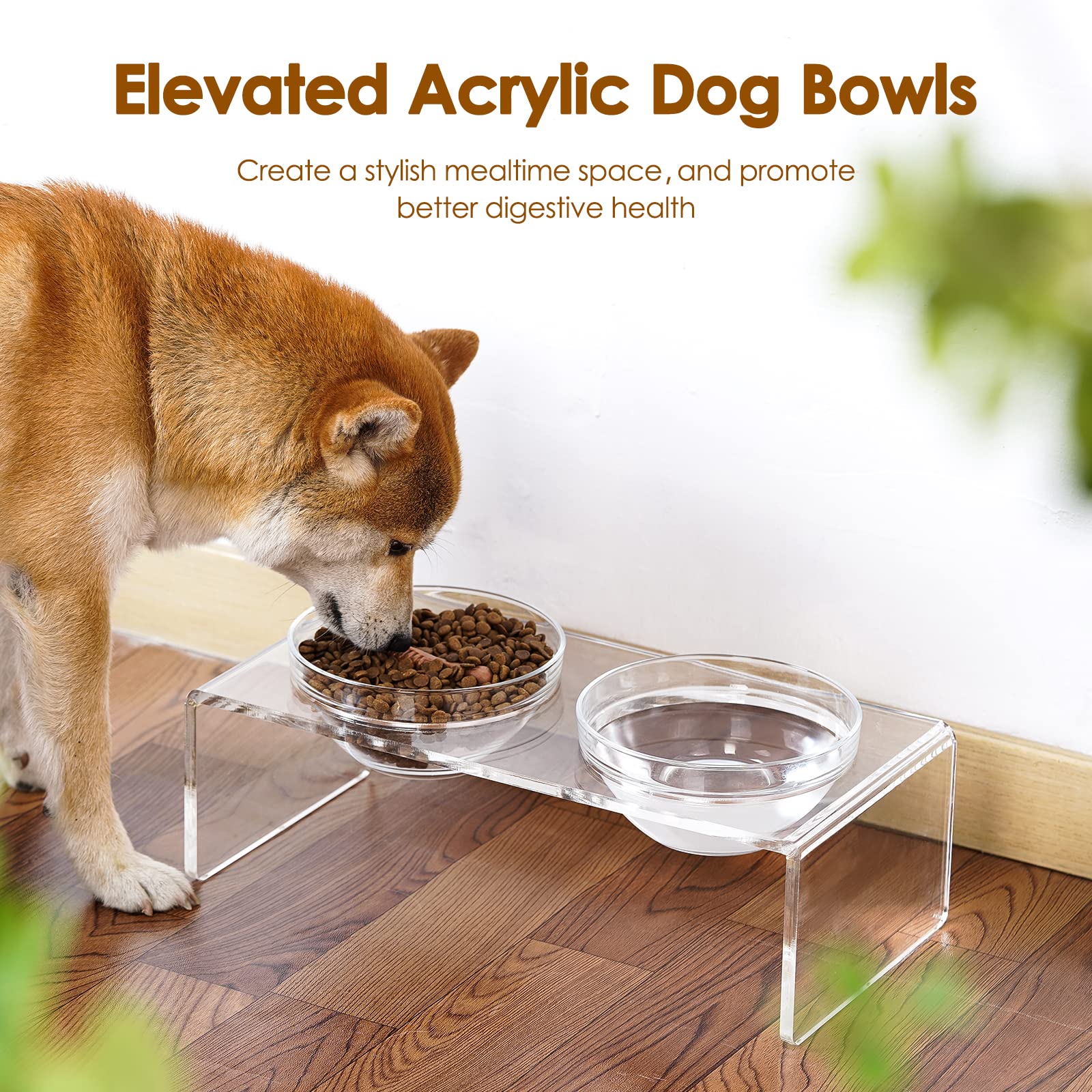 Feoyoho Acrylic Elevated Dog Cat Bowls - Double Bowl Feeder with 2 Glass & 2 Stainless Steel Bowls, Medium 5.5" Height, Clear