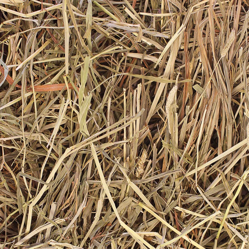 Grandpas Best Timothy Hay for Rabbits, Guinea Pigs, Chinchillas, Hamsters & Gerbils, 20lb Loose Boxed, Brown