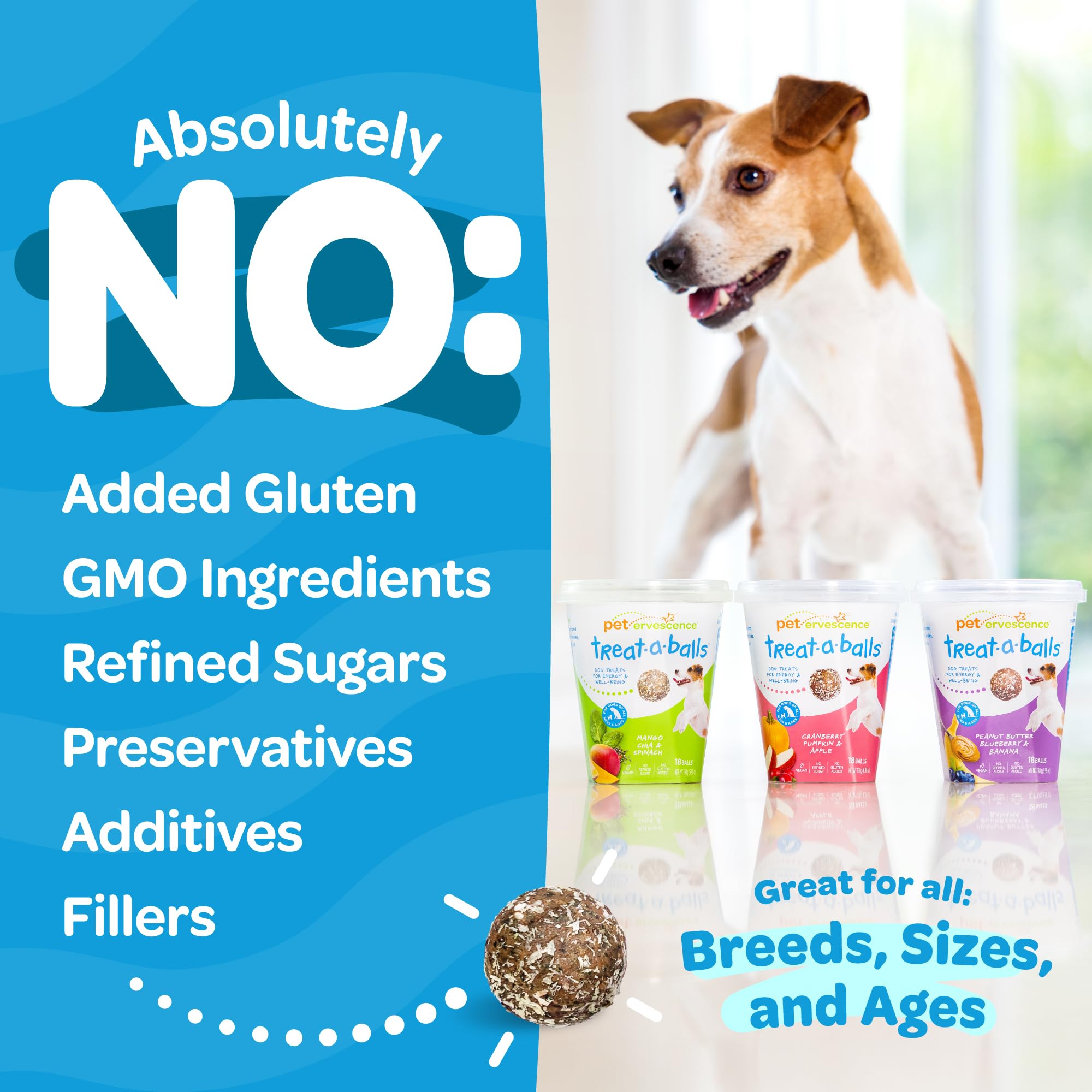TREAT-A-BALLS Nutritious All Natural Bulk Dog Treats - Vegan, Fiber-Rich, Human-Grade - All Breeds, Sizes, Ages - Made in New Ze