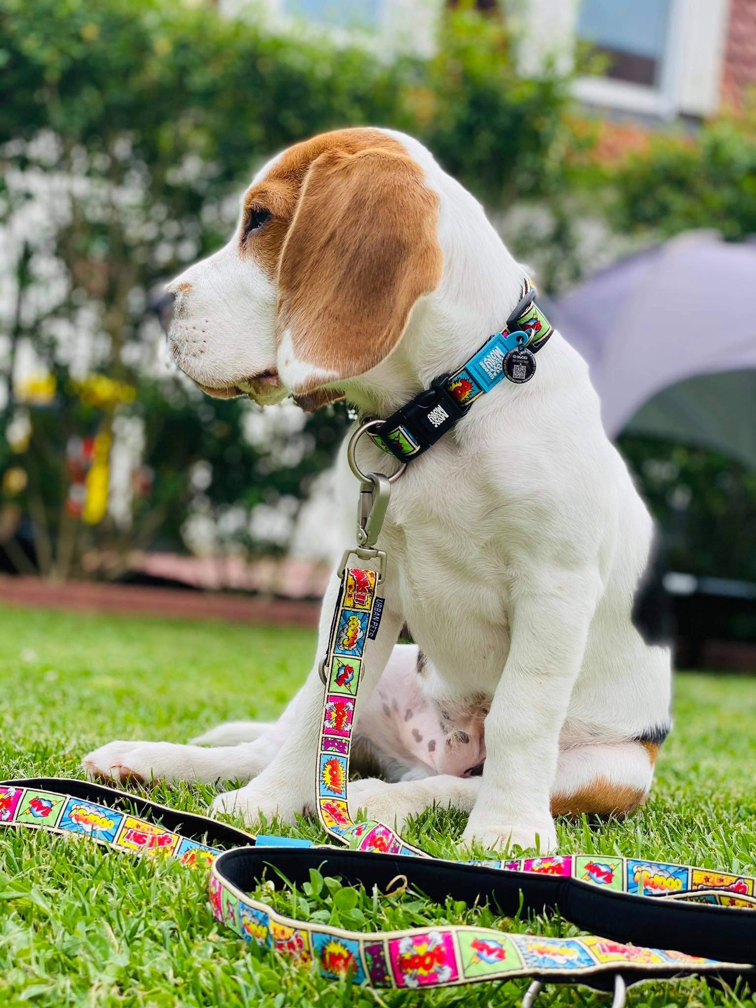 Max & Molly Smart ID Dog Collar with Gotcha! QR Safety Tag and Custom Pet Profile, Soft Padded Neoprene, Waterproof, Comic, XS (