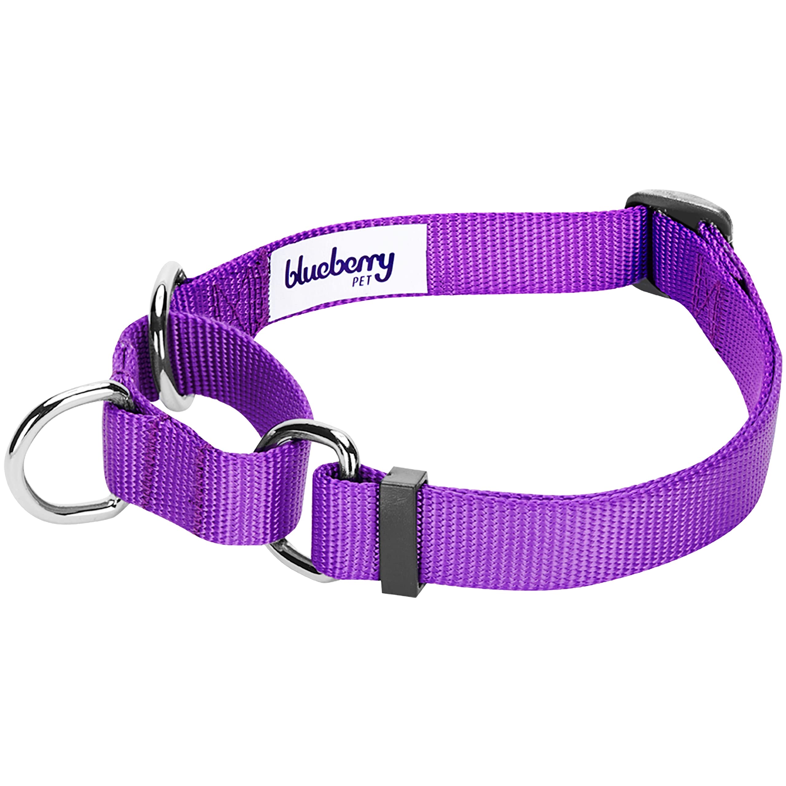 Blueberry Pet Essentials Martingale Safety Training Dog Collar, Dark Orchid, Large, Heavy Duty Nylon Adjustable Collars For Dogs