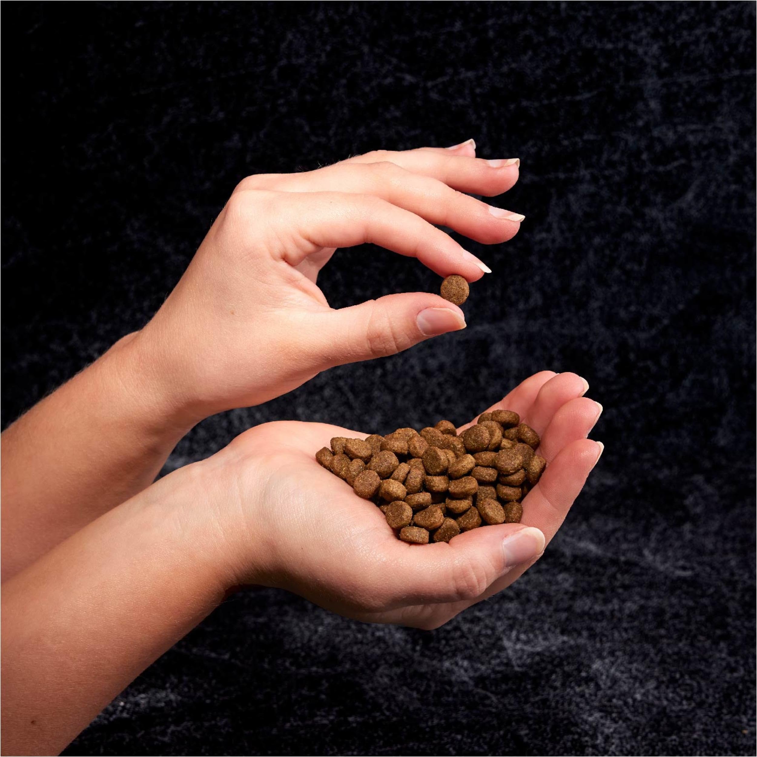 CRAVE Grain Free High Protein Adult Dry Dog Food, Beef, 12 lb. Bag
