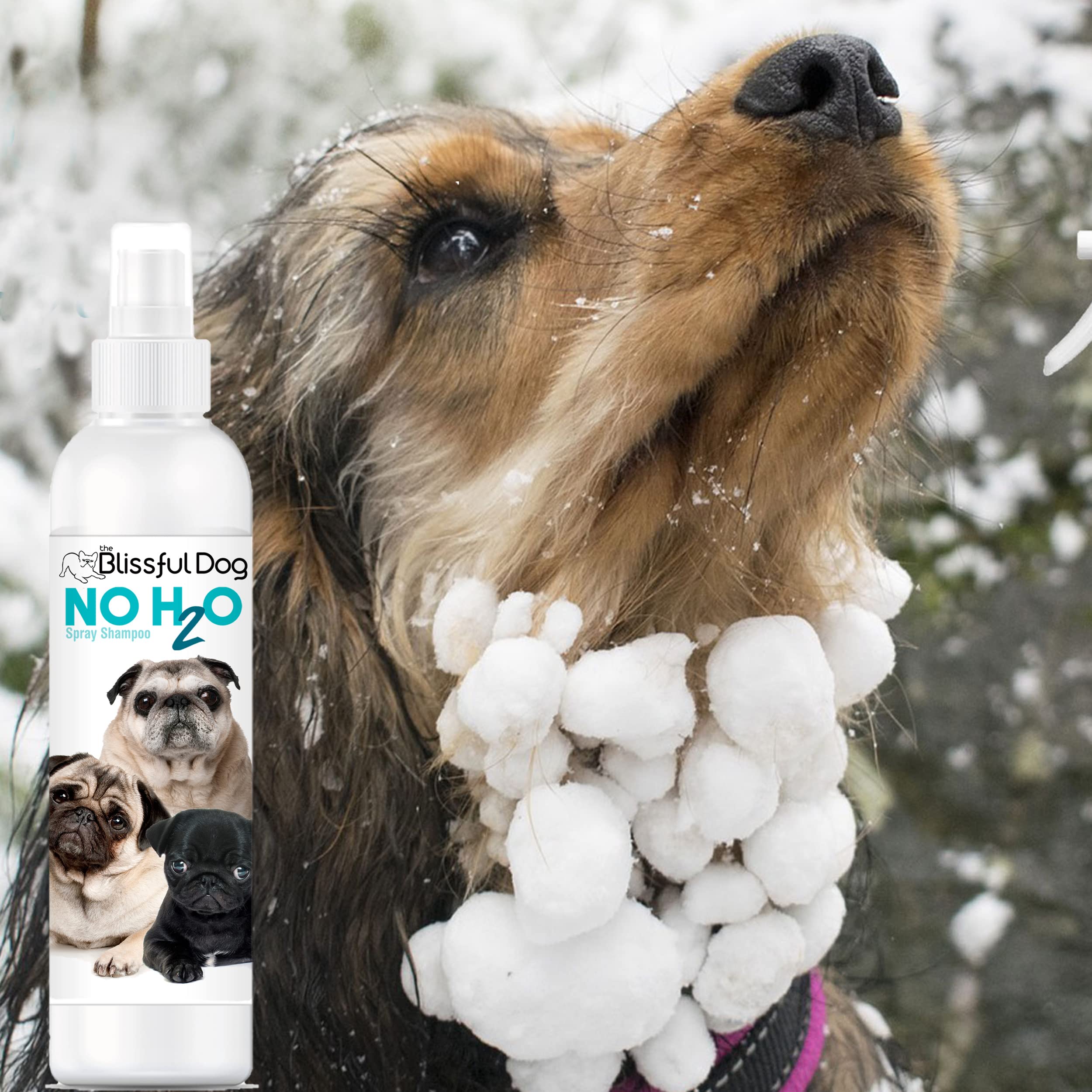 The Blissful Dog No H2O Waterless Pet Shampoo, 8 oz.