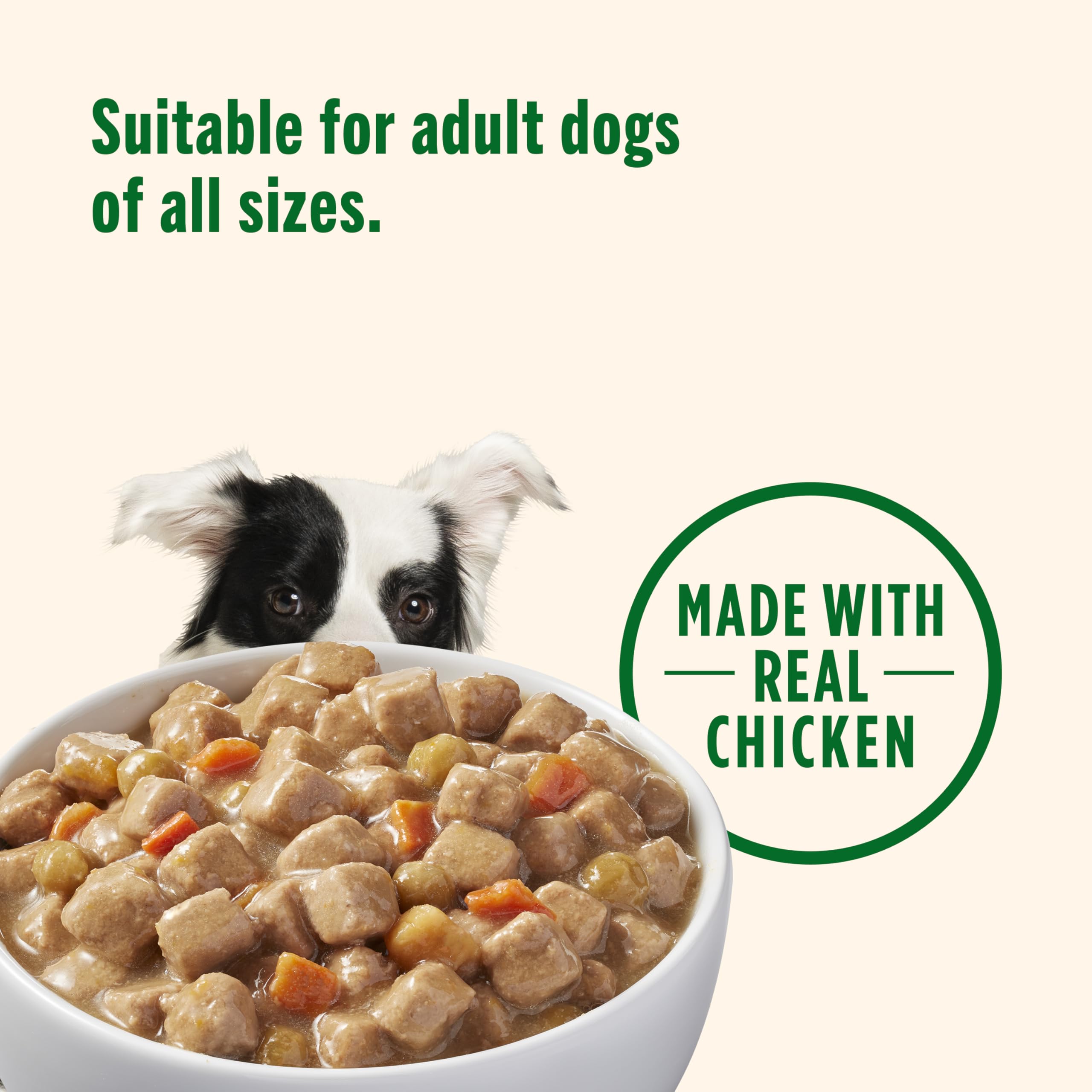Rachael Ray Nutrish Chunks in Gravy Wet Dog Food Real Chicken & Veggies Recipe, 13 Ounce (Pack of 12)