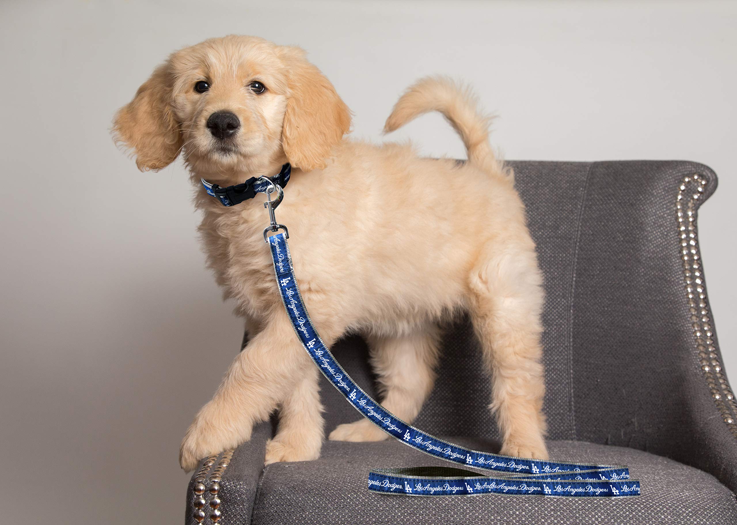 Mlb Pet Leash, Large, Los Angeles Dodgers Dog Leash, Baseball Team Leash For Dogs & Cats. A Shiny & Colorful Dog & Cat Leash With Emboridered Team Name/Logo Licensed By The Mlb