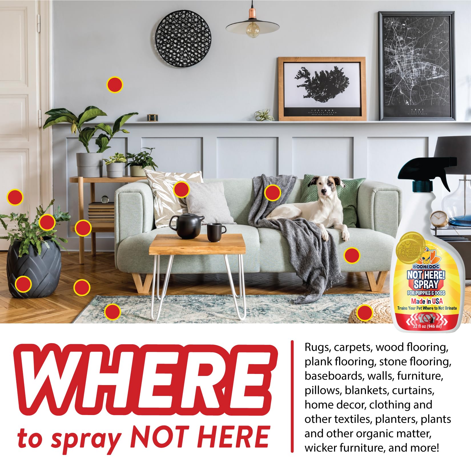 Bodhi Dog Not Here! Spray | Trains Your Pet Where Not to Urinate | Training Corrector for Puppies & Dogs | for Indoor & Outdoor