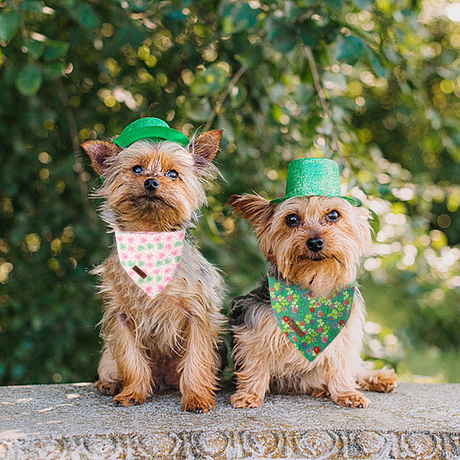 Babole Pet St Patricks Day Dog Bandanas 2 Pack, Green Flower Clover & Cute Clover Pattern St Patricks Dog Scarf Bib For Boy And