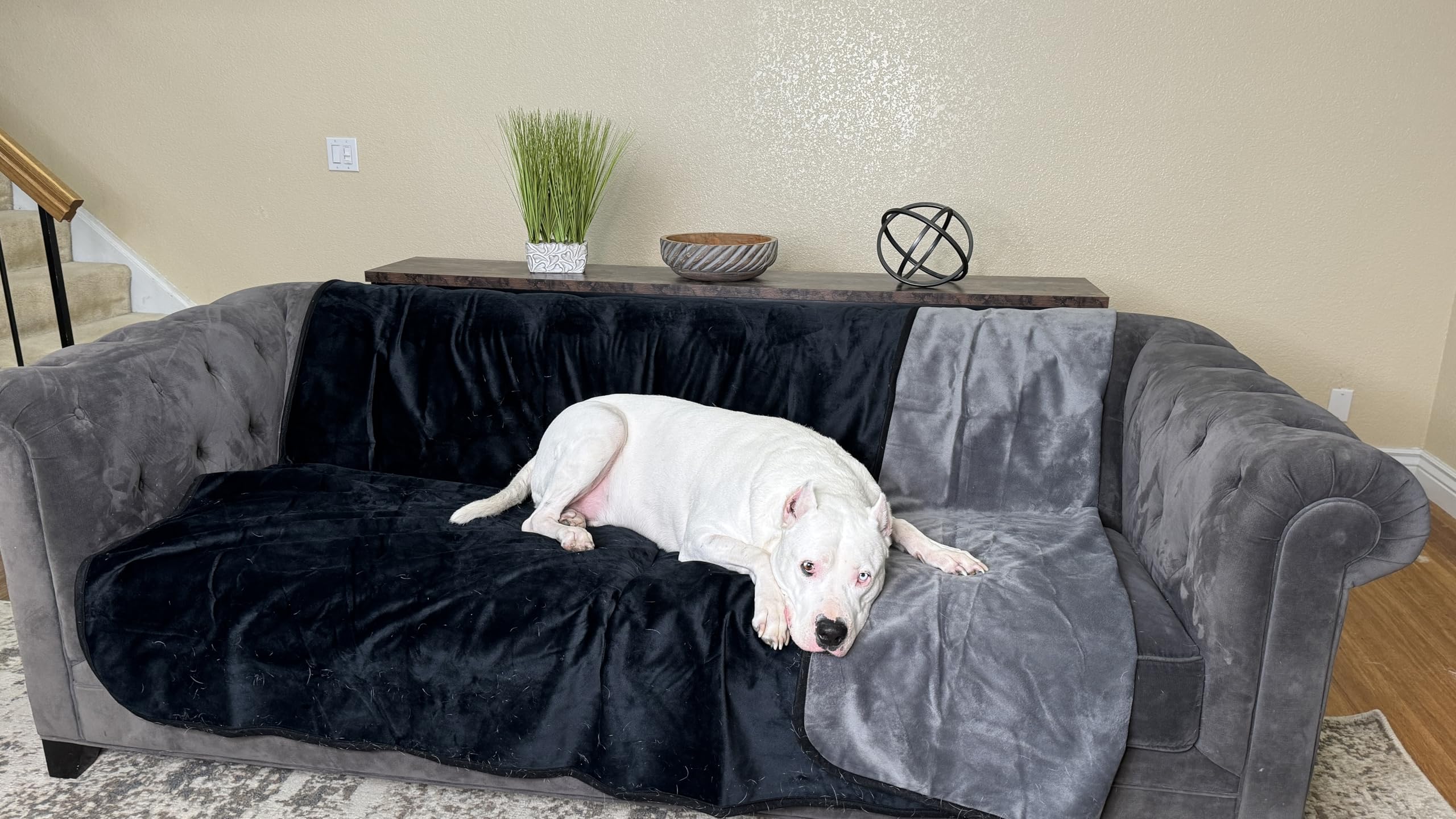 Wesbrad Waterproof, Super Soft, Leak Proof, Totally Pee Proof, Ez-Wash, Durable (60''X50'', Black/Grey) Two-Color Reversable, 3