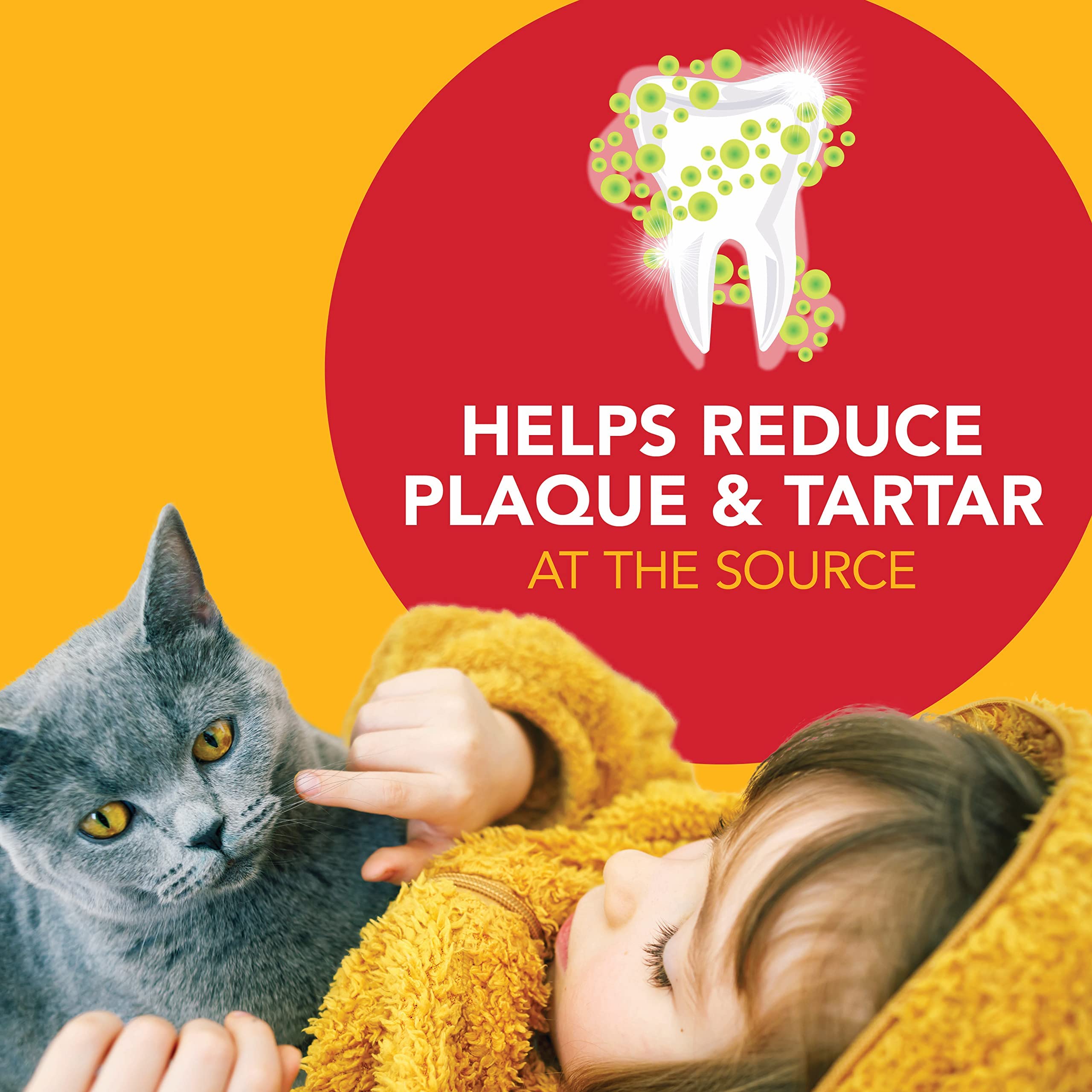 Petrodex Dental Care Kit for Cats, Cat Toothbrush and Toothpaste, Cleans Teeth and Fights Bad Breath, Reduces Plaque Tartar Form