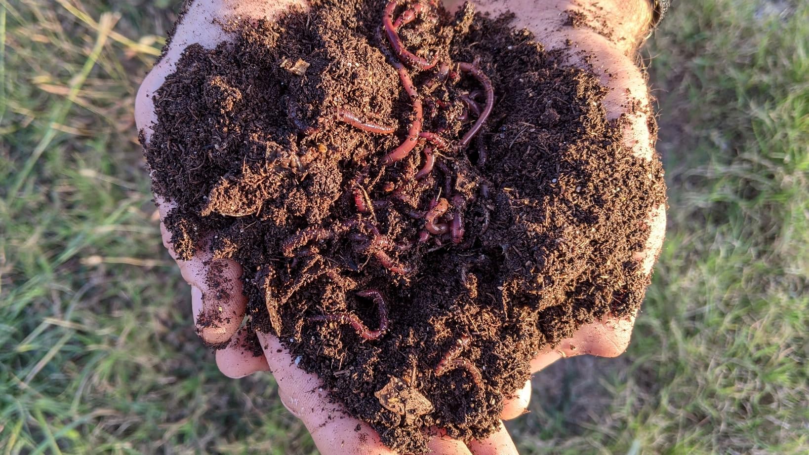 Bedding For Worm Bins (3 Lbs) - Specially-Mixed, Ph-Balanced Bedding For Indoor/Outdoor Worm Bins