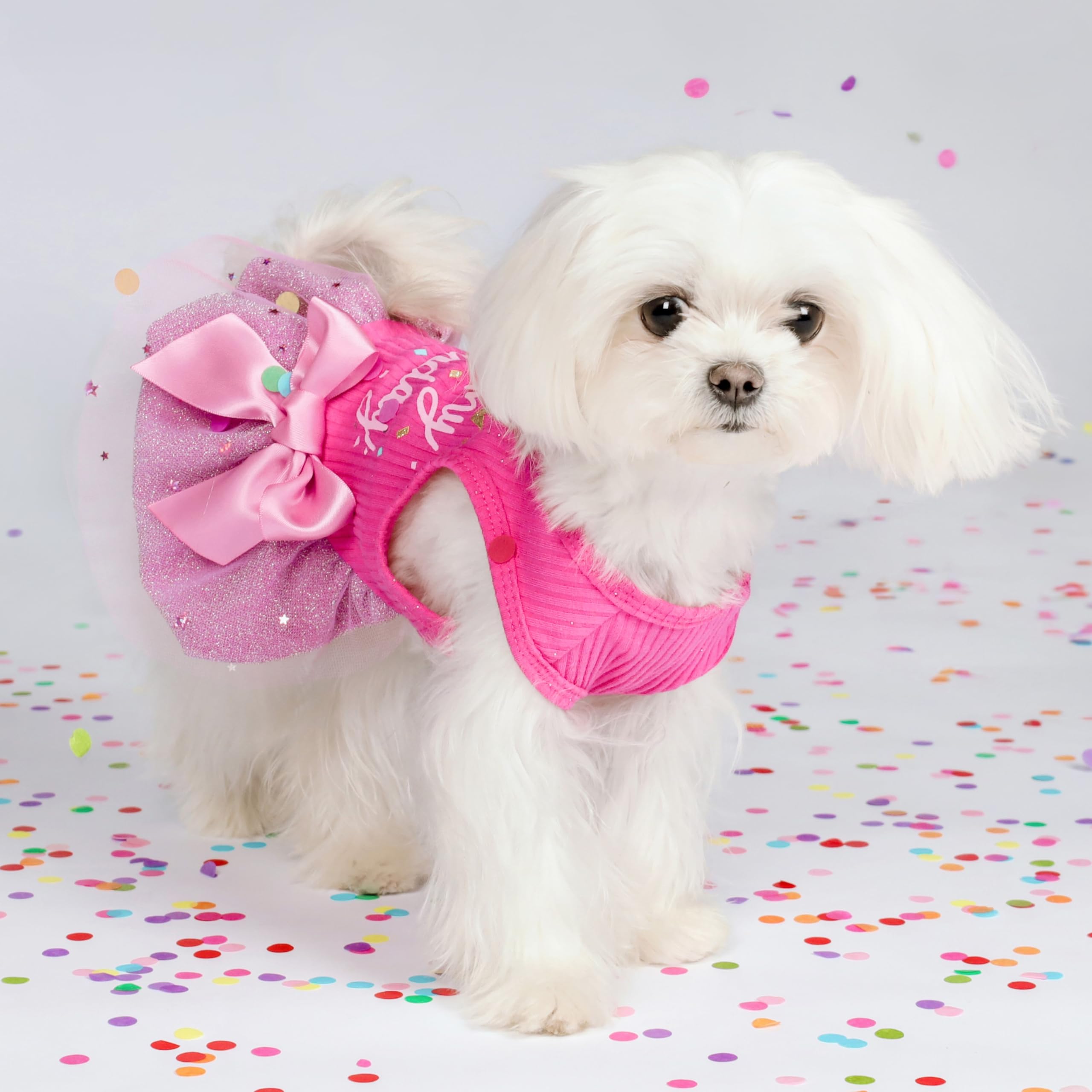 Fitwarm It'S My Birthday Dress With Bowknot For Small Dogs, Funny Clothes For Female Pets, Pink, Xs