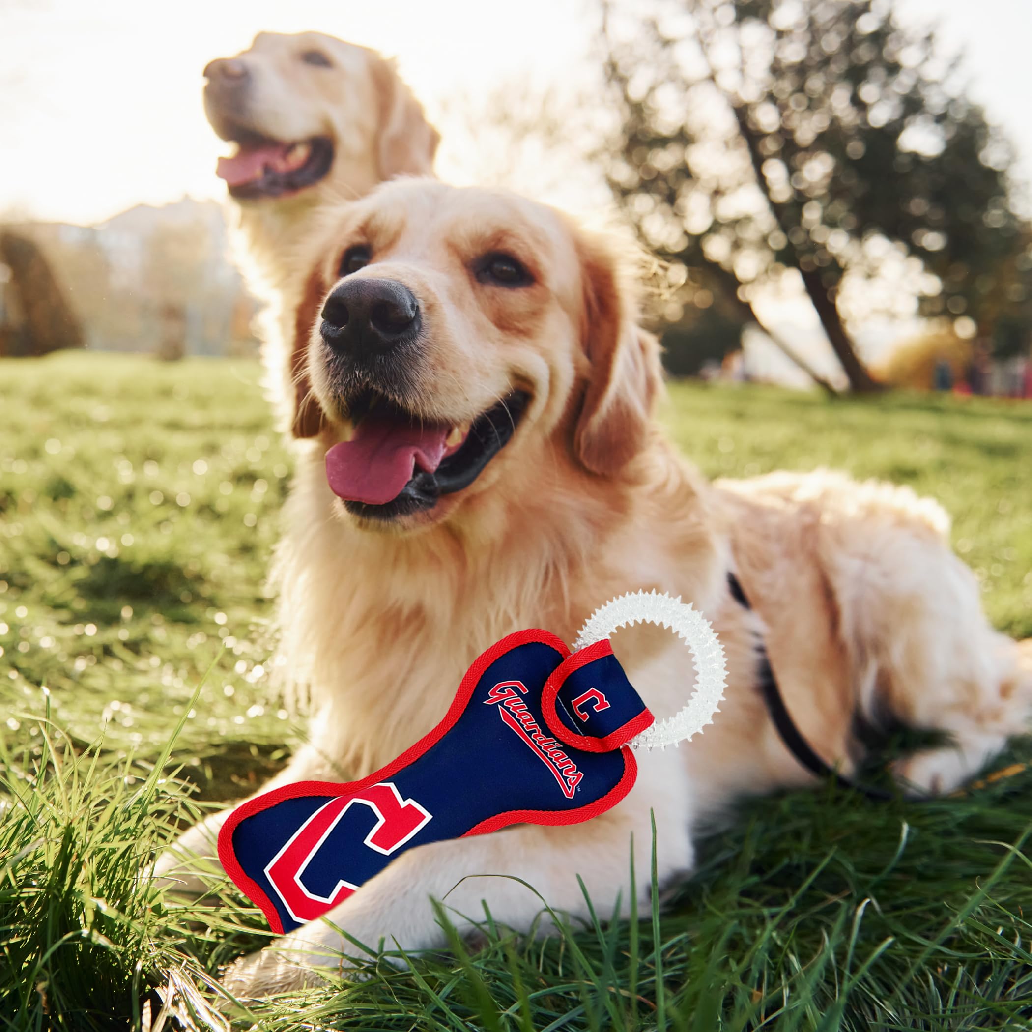 Mlb Cleveland Guardians Bone Shaped Dental Dog Tug Toy With Squeaker. Tough Pet Toy For Healthy Fun, Teething, And Cleaning Pet'