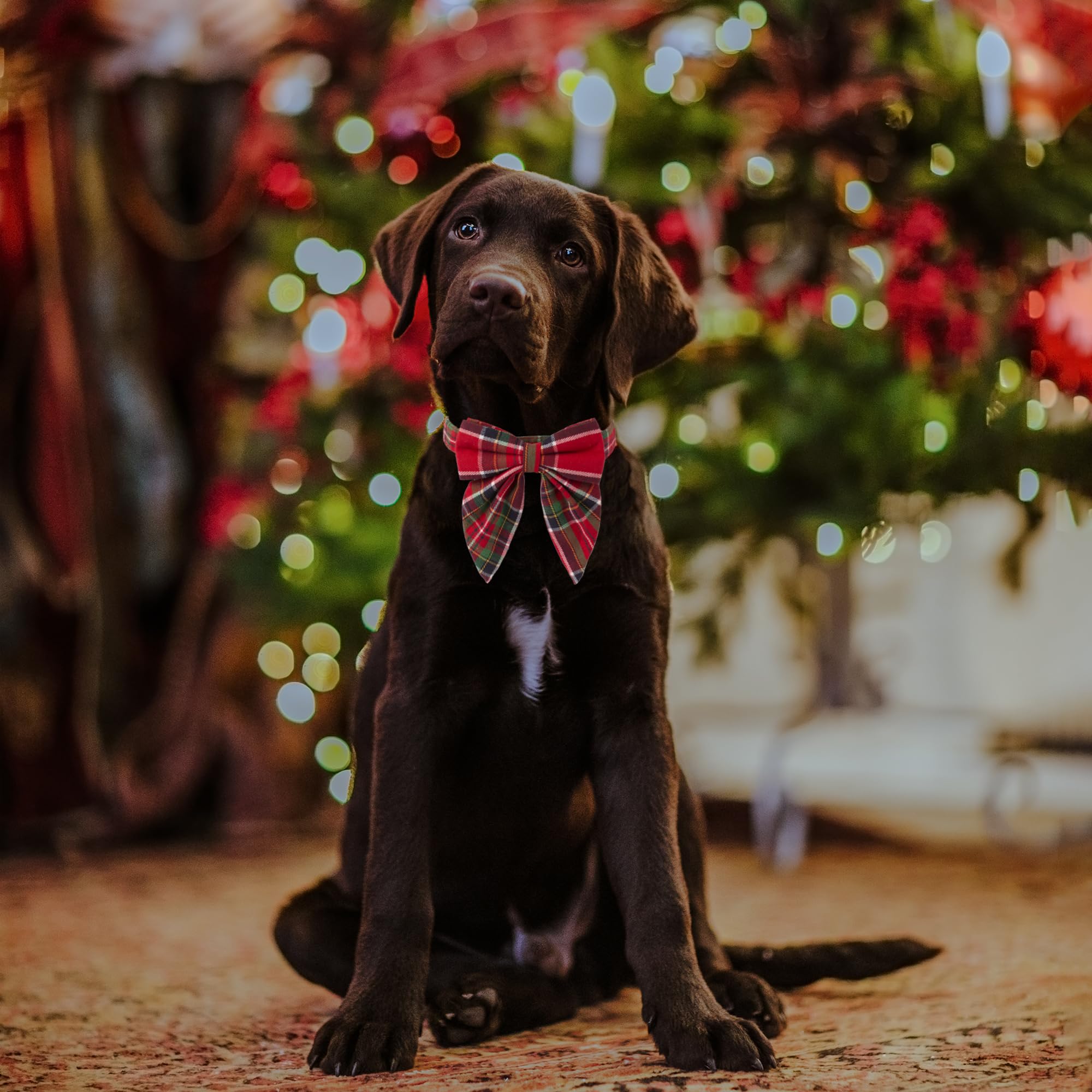 Adoggygo Christmas Dog Collar With Bow, Adjustable Cotton Red Green Plaid Bowtie Dog Christmas Collars For Small Medium Large Dogs Pets (Medium, Xmas)