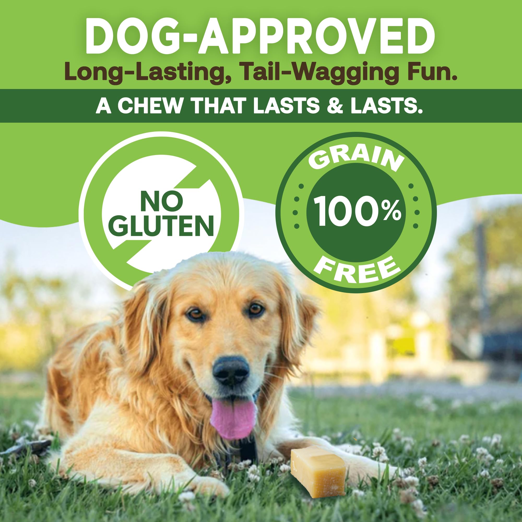 EcoKind Premium Gold Yak Cheese Himalayan Dog Chews, Dog Treats Large Breed, All Natural, High Protein, for Aggressive Chewers,