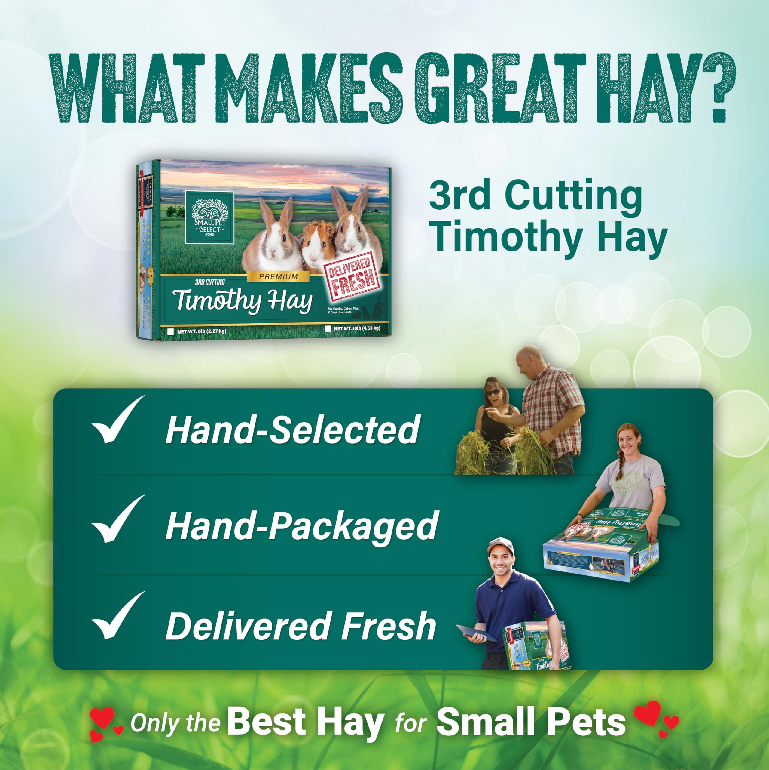 Small Pet Select 3rd Cutting Super Soft Timothy Hay Pet Food for Picky Eaters, Rabbits, Guinea Pigs, and Other Small Animals, Ea