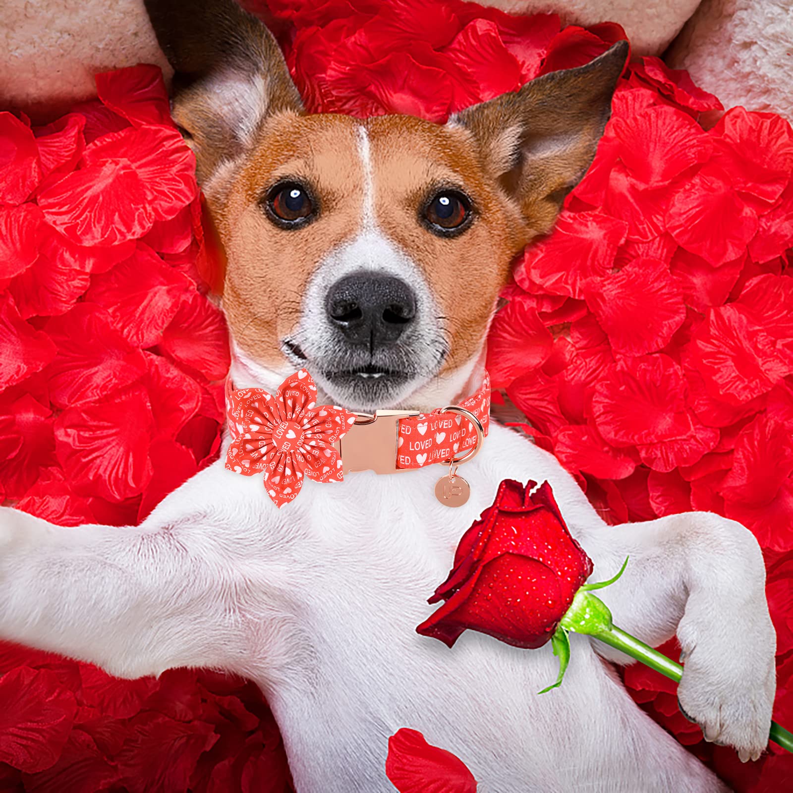 Up Urara Pup Valentine’S Day Dog Collar With Flower, Valentine Flower Collar With Metal Buckle, Valentine’S Day Gift Pet Collar For Medium Girl Dog, Wedding Dog Collar, Red, M, Neck 13.5-22In
