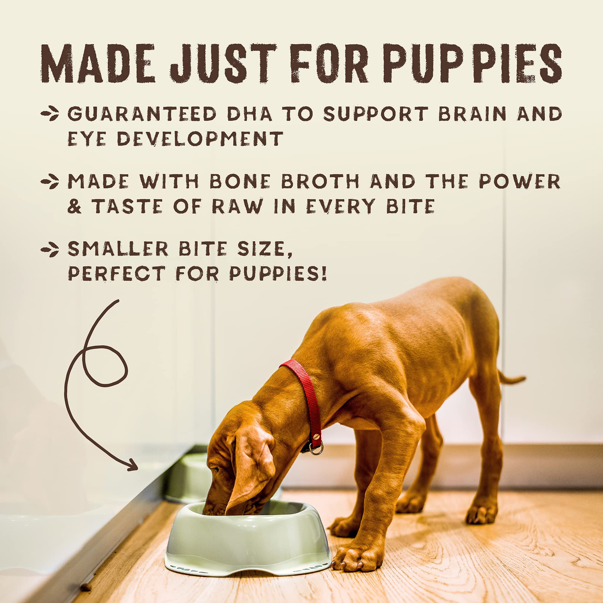 Stella & Chewys SuperBlends Raw Blend Wholesome Grains Puppy Cage-Free Chicken & Wild Caught Salmon Recipe with Superfoods, 3.2