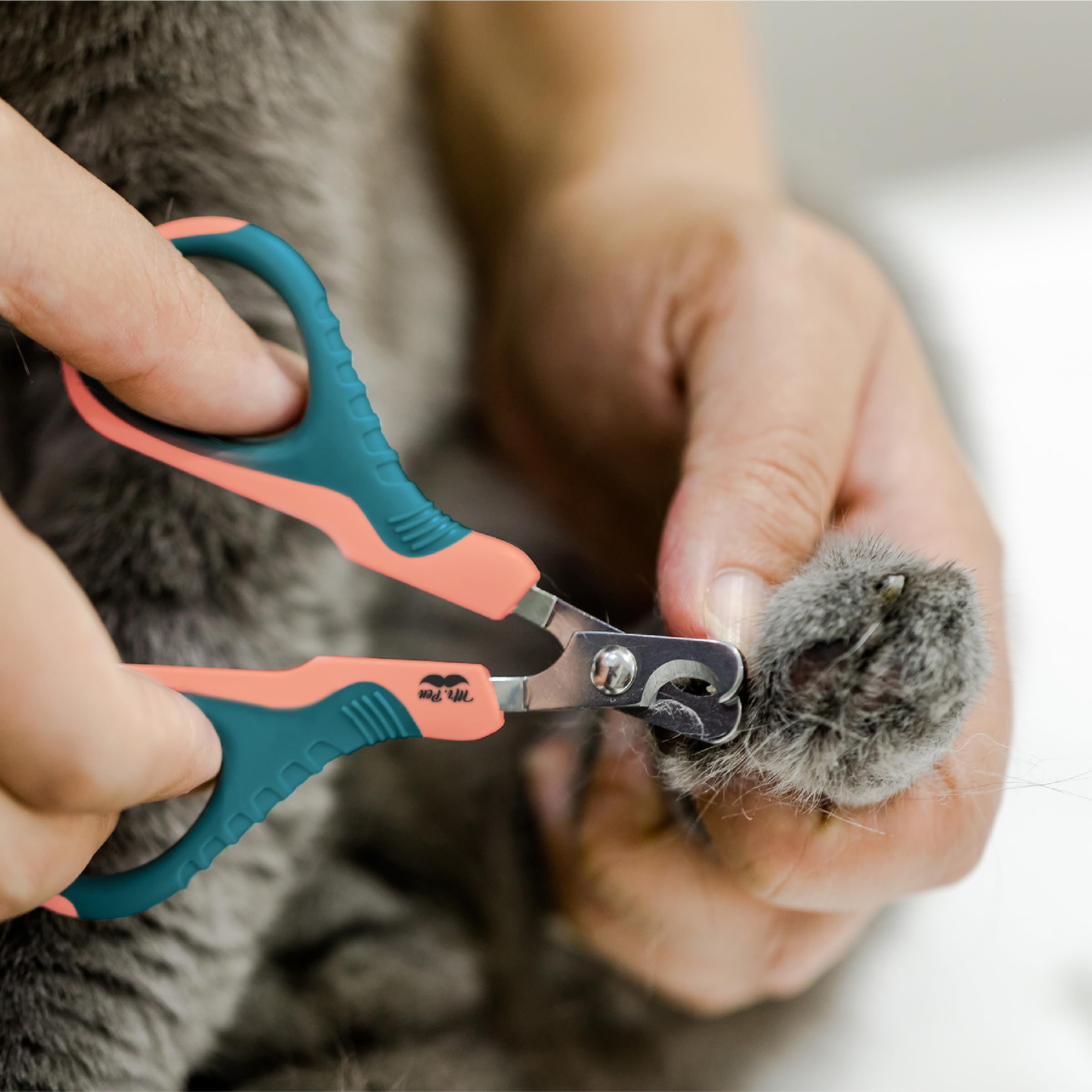 Mr. Pen- Cat Nail Clipper, Cat Nail Trimmer, Cat Nail Clippers, Cat Claw Clippers, Cat Clippers For Nails, Pet Nail Clippers, Kitten Nail Clipper, Small Dog Nail Clipper, Cat Claw Trimmer