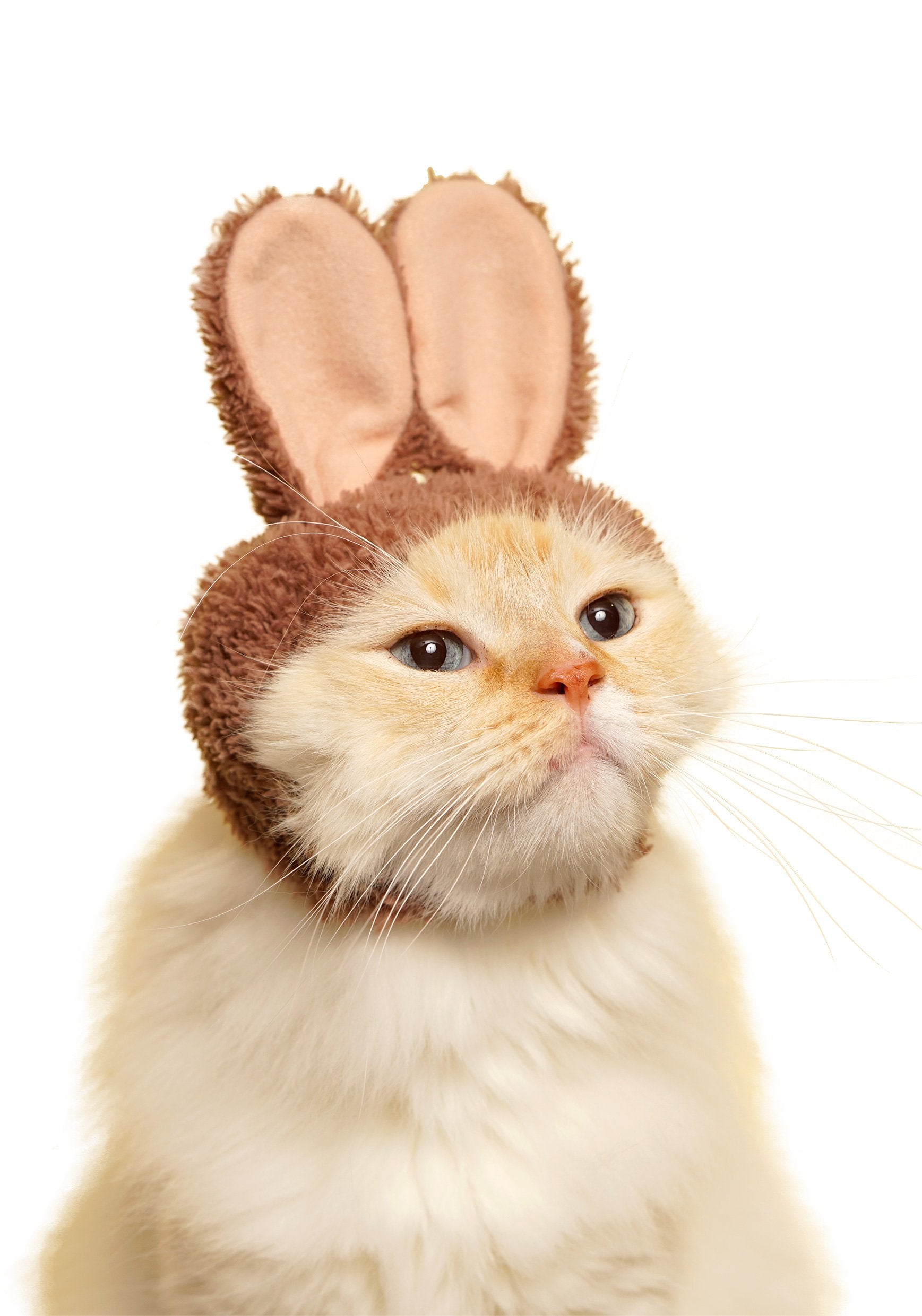 Kitan Club Cat Cap - Pet Hat Blind Box Includes 1 Of 5 Cute Styles - Soft, Comfortable - Authentic Japanese Kawaii Design - Anim