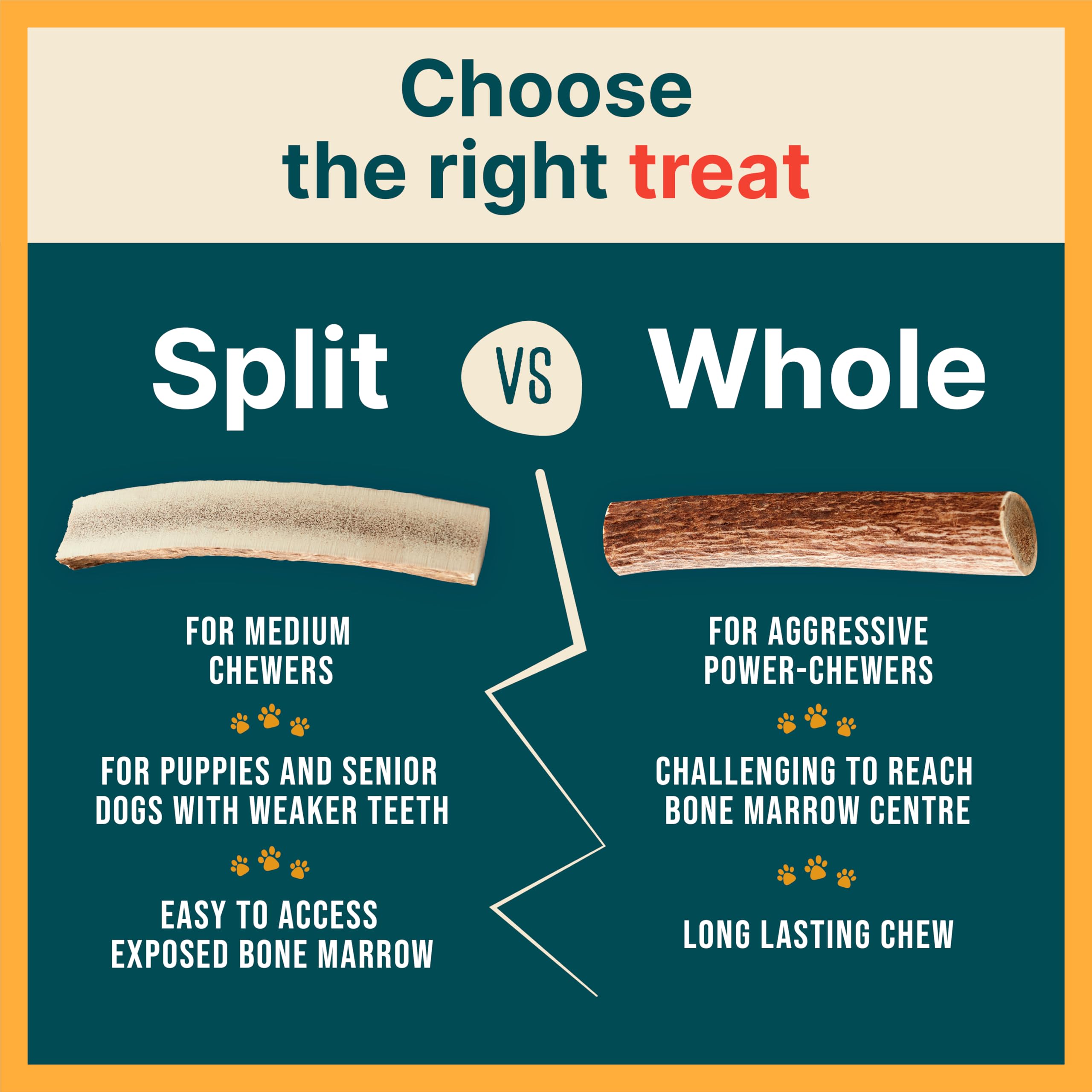 REXIPETS 100% Natural - Elk Antlers for Dogs - Naturally Shed in USA - Long Lasting Chews for Aggressive Chewers - Natural, Real