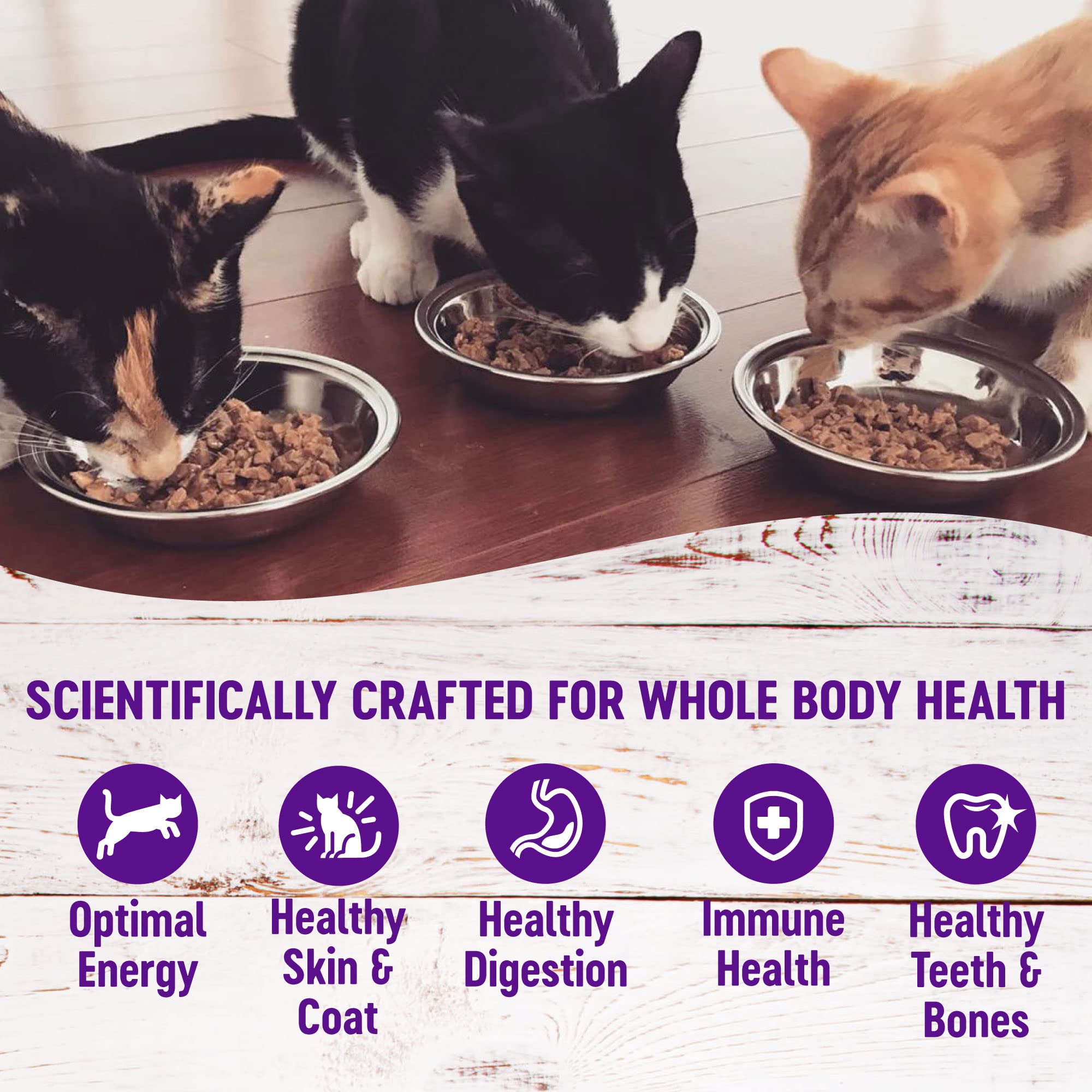 Wellness Pet Products - Morsels Cat Adlt Chkntrky - Case Of 24 - 3 Oz