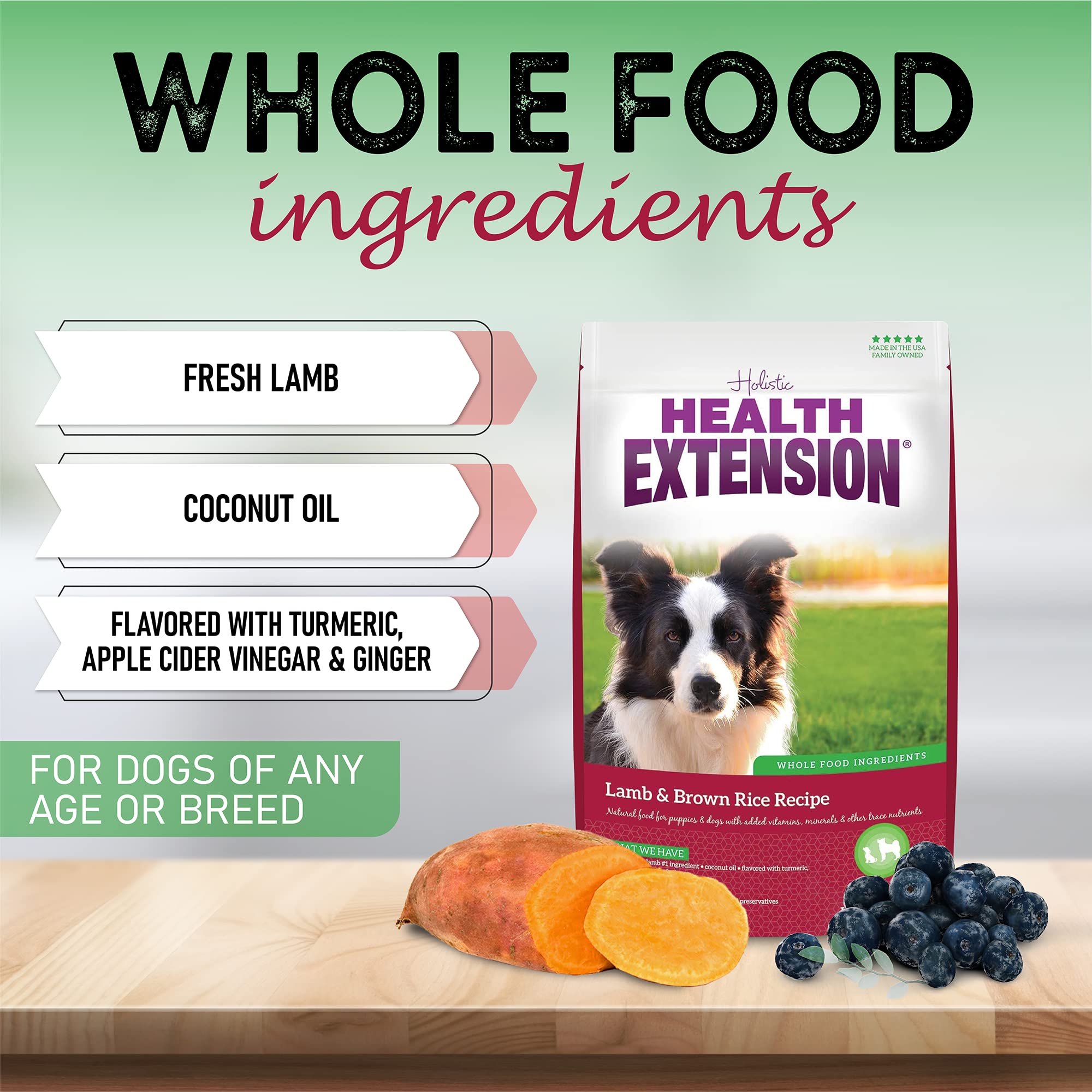 Health Extension Lamb & Brown Rice Dry Dog Food (1 lb / 0.45 kg) - Nutritious Free-Range Lamb Formula with Probiotics, Antioxida