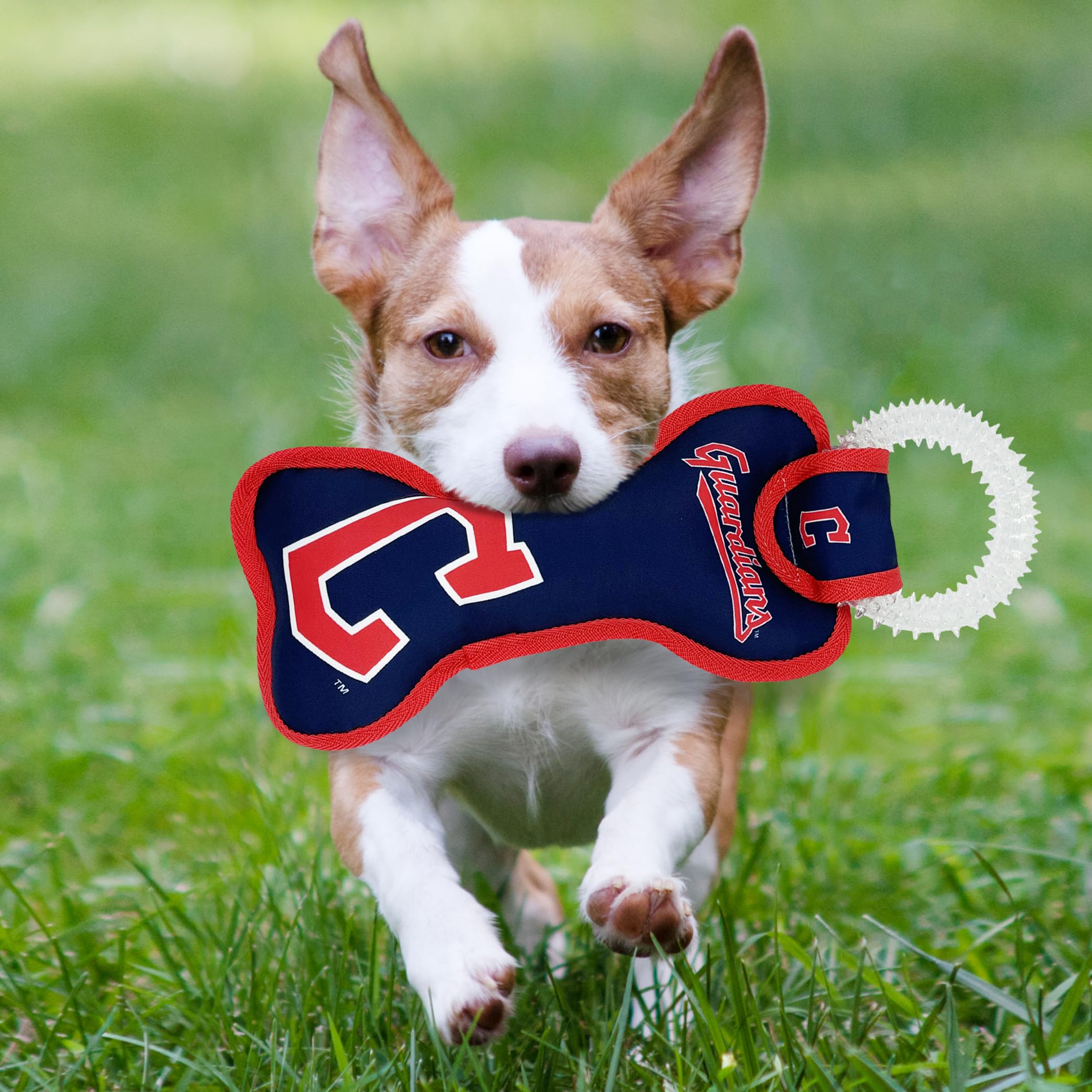 Mlb Cleveland Guardians Bone Shaped Dental Dog Tug Toy With Squeaker. Tough Pet Toy For Healthy Fun, Teething, And Cleaning Pet'