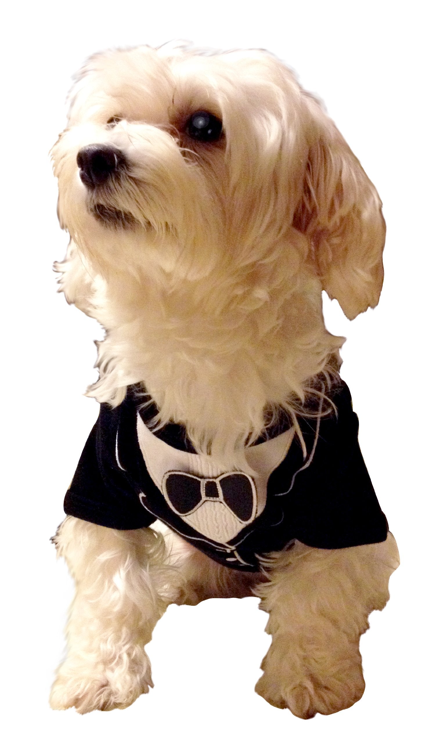 Frenchie Mini Couture Dog Tuxedo, (X-Small)