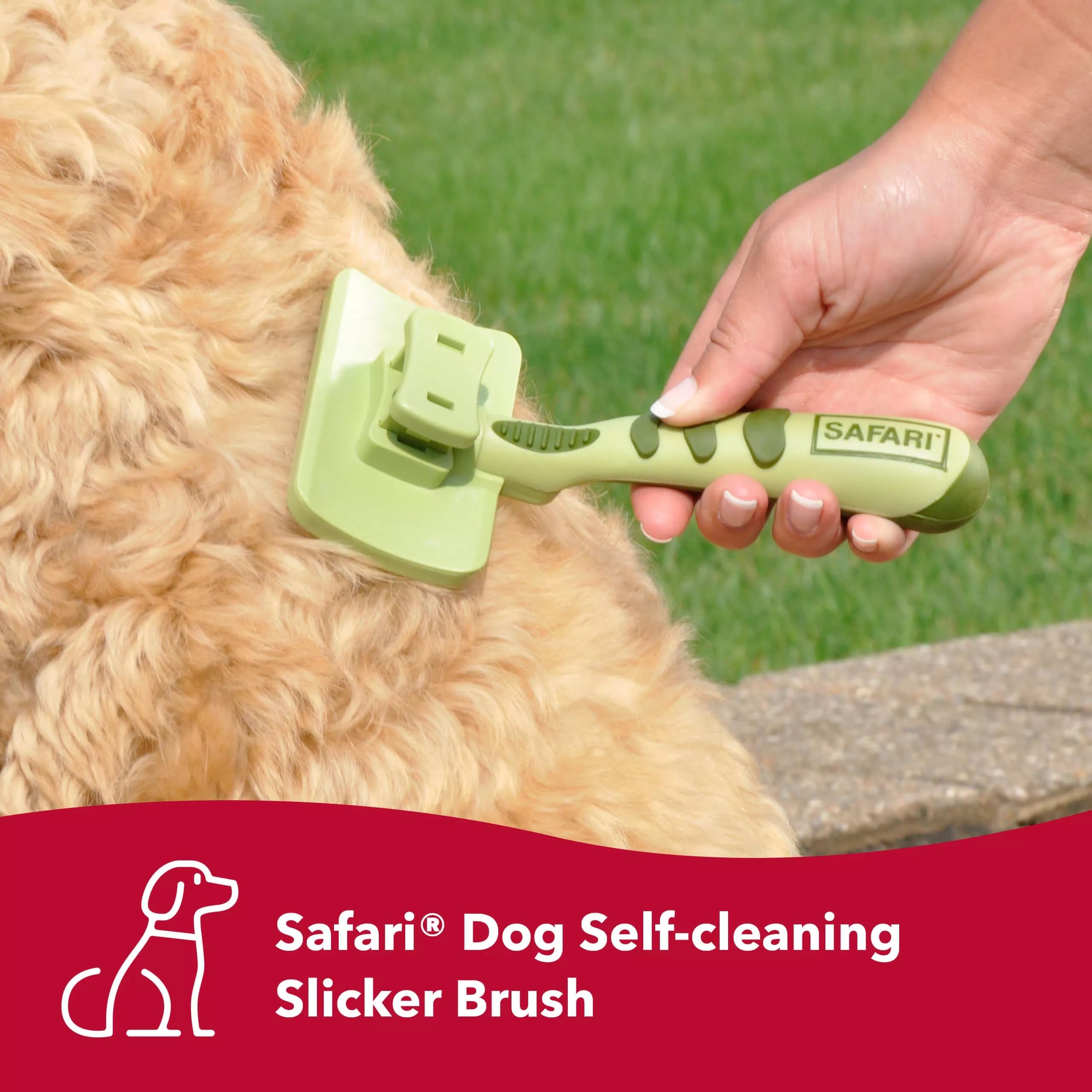 Coa Brush W416 Slicker Self Sm