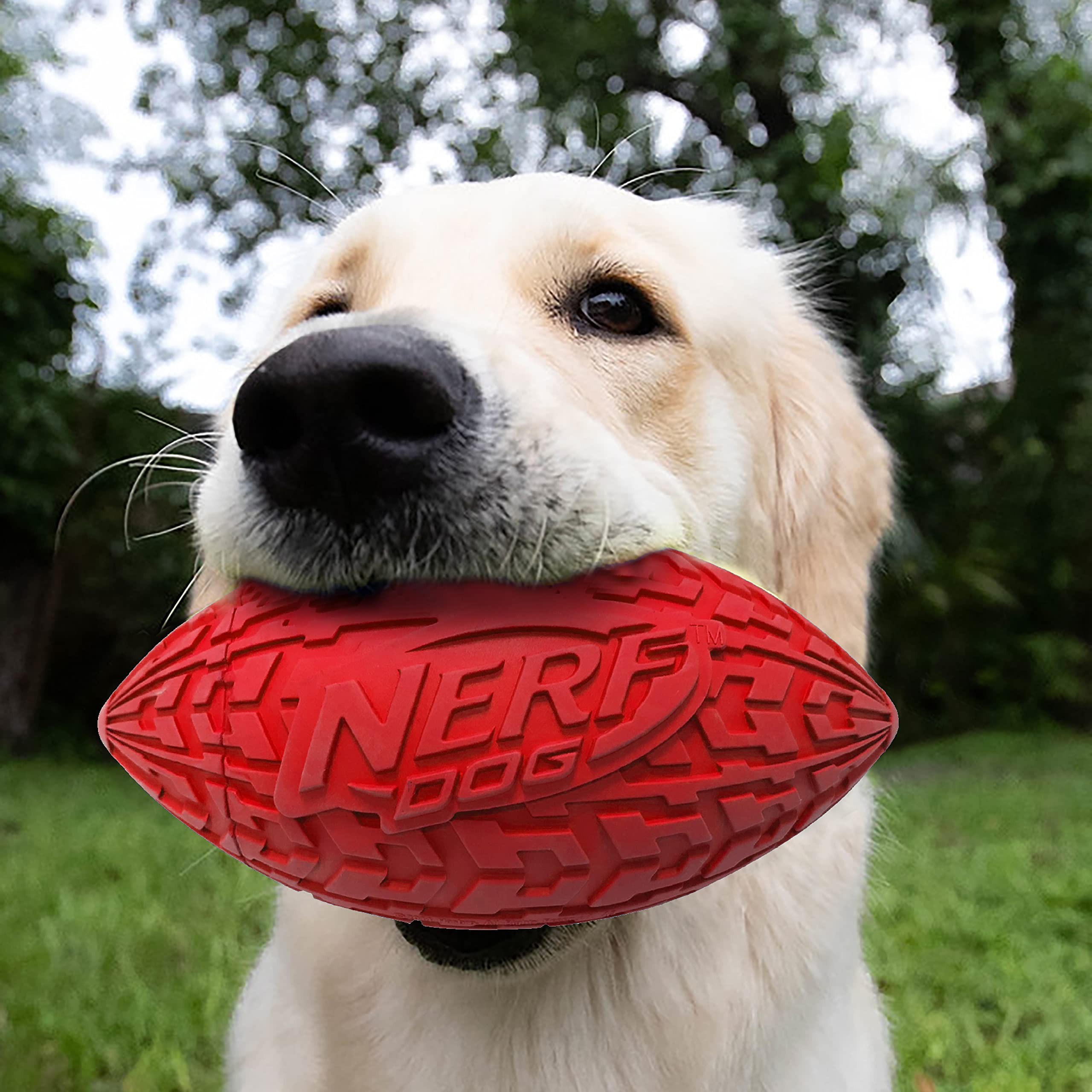 Nerf Dog Tire Football Toy - Interactive Squeaker, Durable Rubber, 6" Diameter, Red, Model 1570 for Medium/Large Breeds