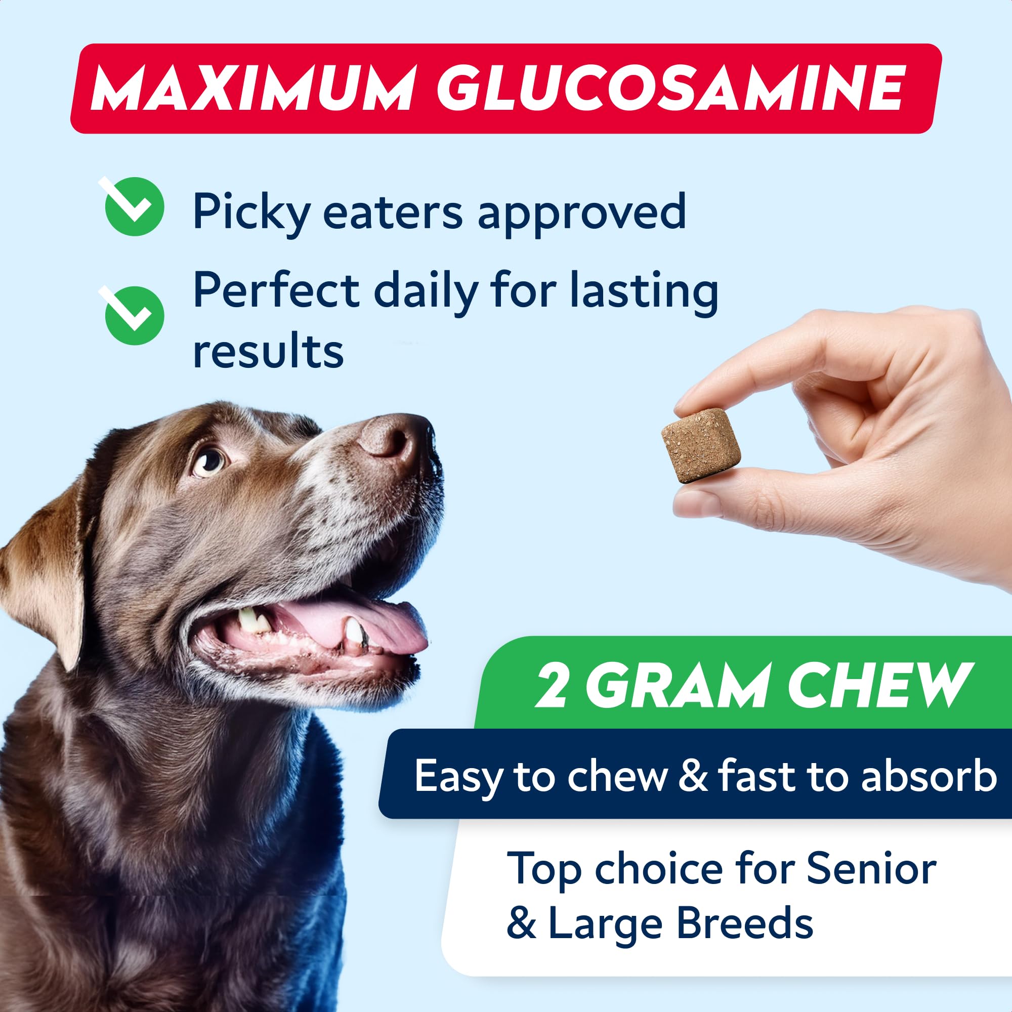 Advanced Glucosamine Chondroitin Joint Supplement for Dogs - Hip & Joint Pain Relief Pills - Green Lipped Mussel & Collagen - La
