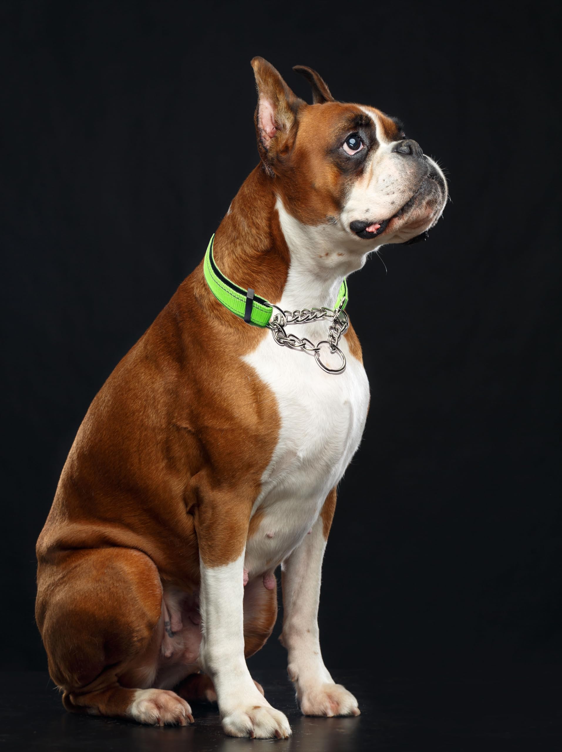 Martingale Collar For Dogs, Reflective Nylon Soft Padded No Pull Training Collars Adjustable Stainless Steel Chain Collar For Sm