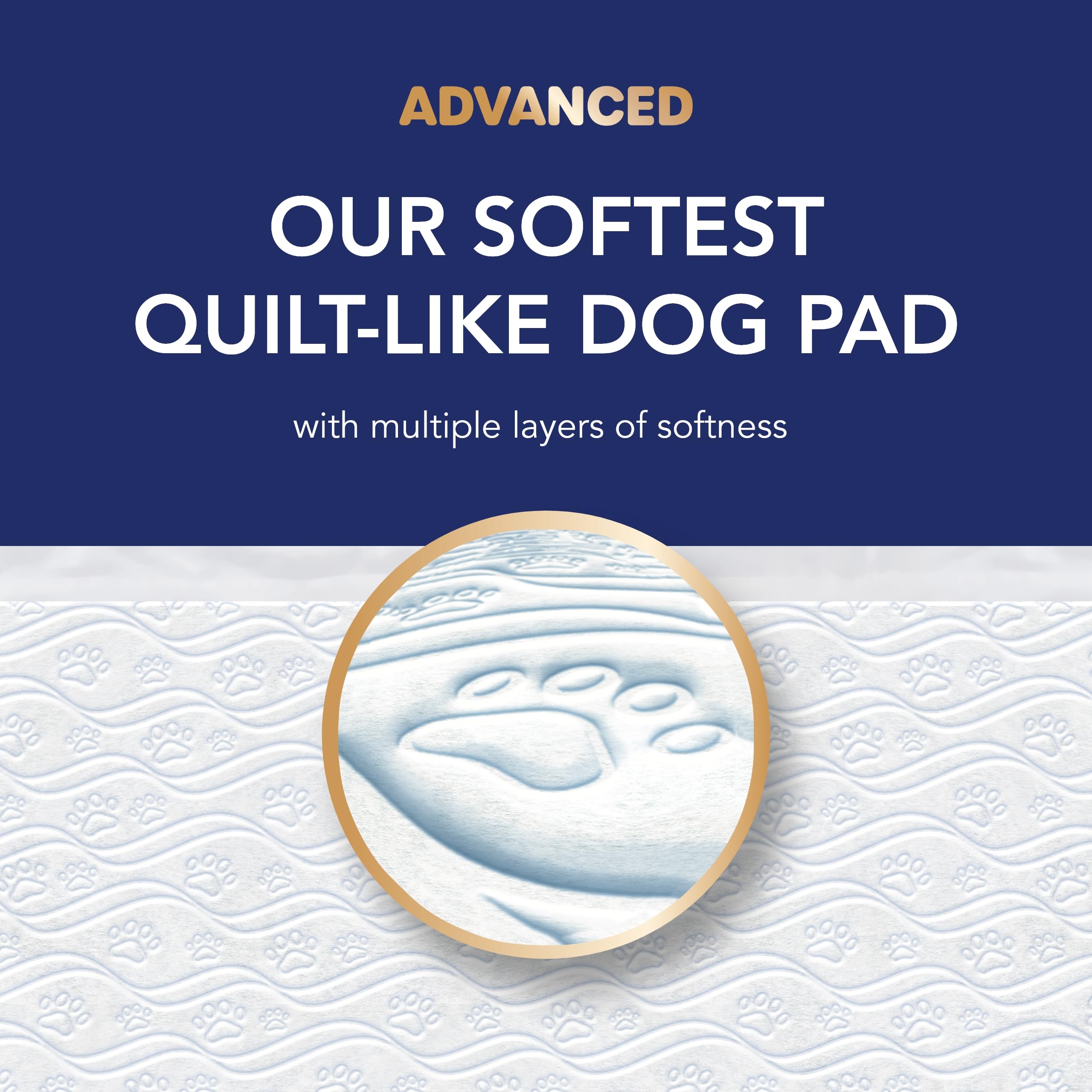 Scott Pet Guard Advanced Dog Pads - Training for Puppies, Medium & Large Dogs - 16 Hour Absorbency With Odor Control - Softest Q