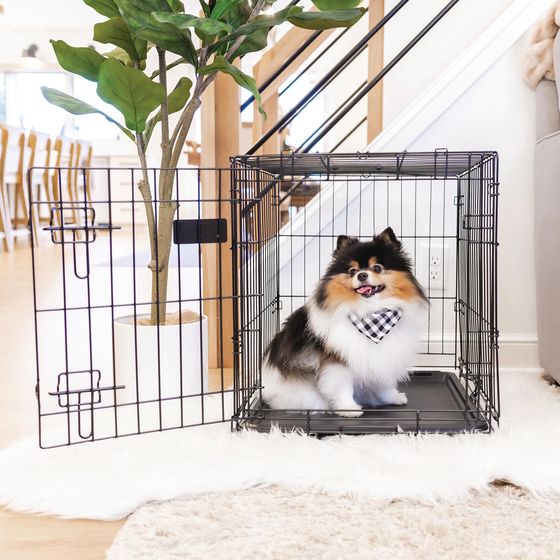 Carlson Pet Products Secure And Foldable Single Door Metal Dog Crate, Small, 24.0''L X 18.0''W X 19.0''H