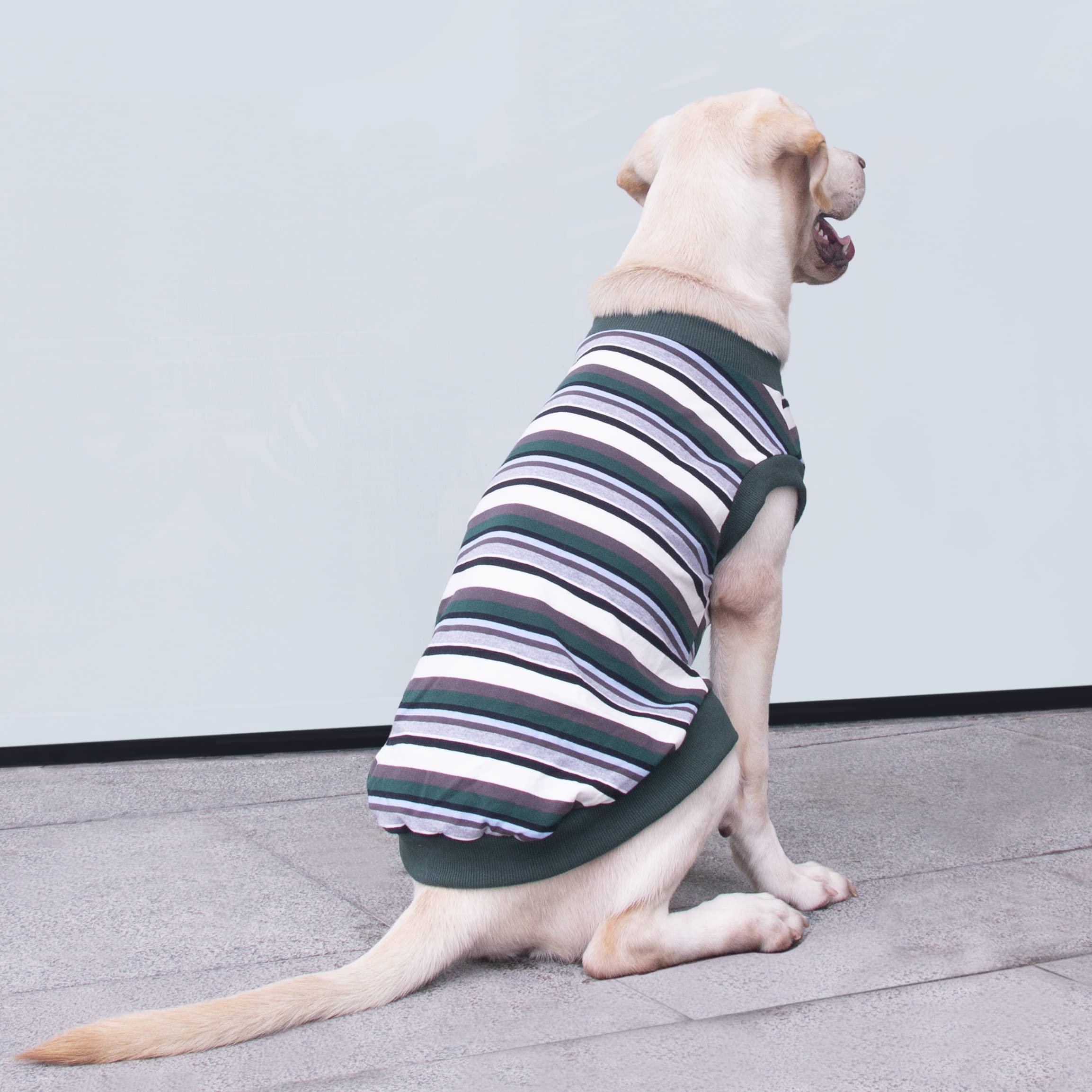 Arunners Extra Large Dog T Shirts Clothes Sleeveless Tank Top Vest For Labrador Rottweiler Great Dane, Green, 6X-Large