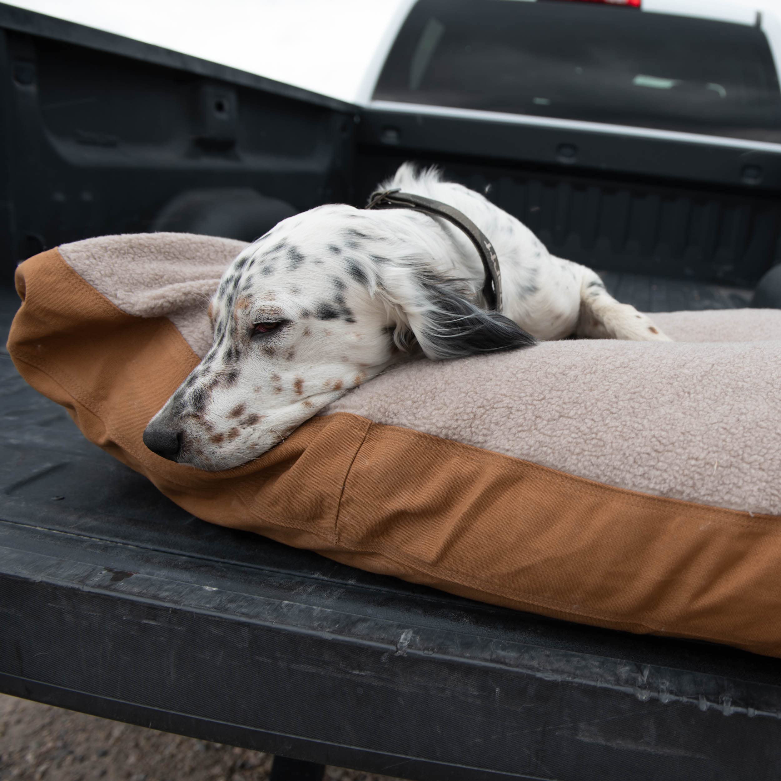 Carhartt Firm Duck Dog Bed, Durable Canvas Pet Bed With Water-Repellent Shell, Carhartt Brown With Sherpa Top, Large