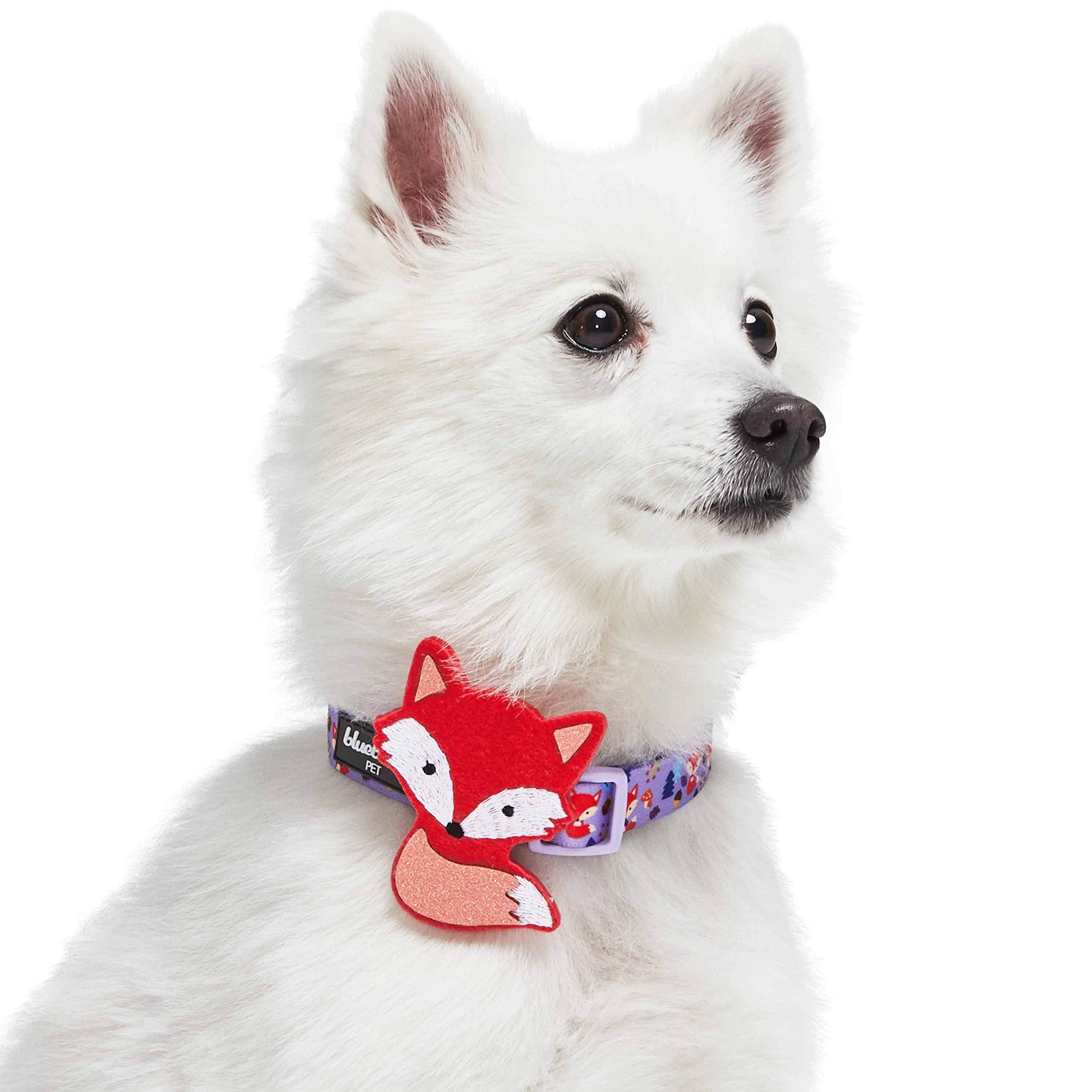 Blueberry Pet Red Fox Adjustable Dog Collar With Detachable D  Cor, Small, Neck 12-16