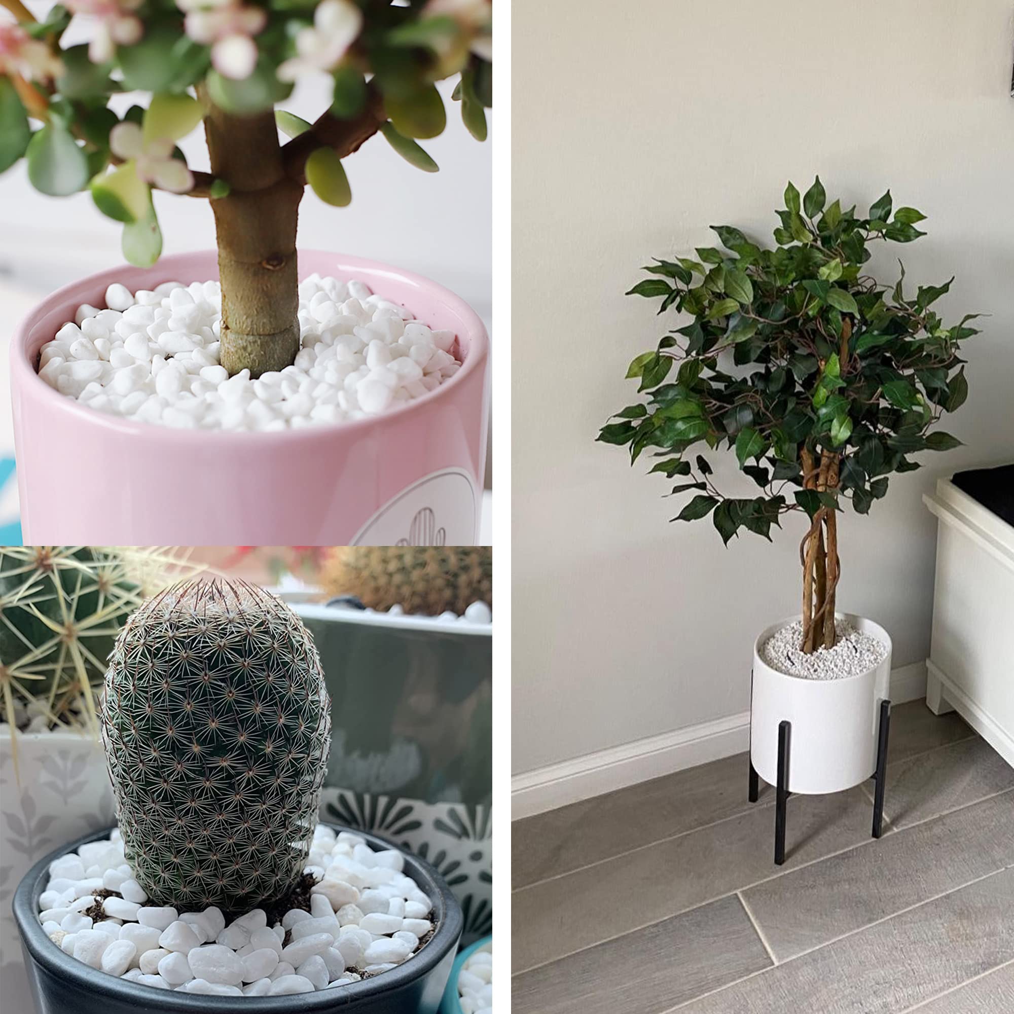Avalution 6mm-8mm White Gravel Succulents and Cactus Bonsai DIY Projects Rocks White Onyx Plant Rocks Garden Outdoor Indoor Grav
