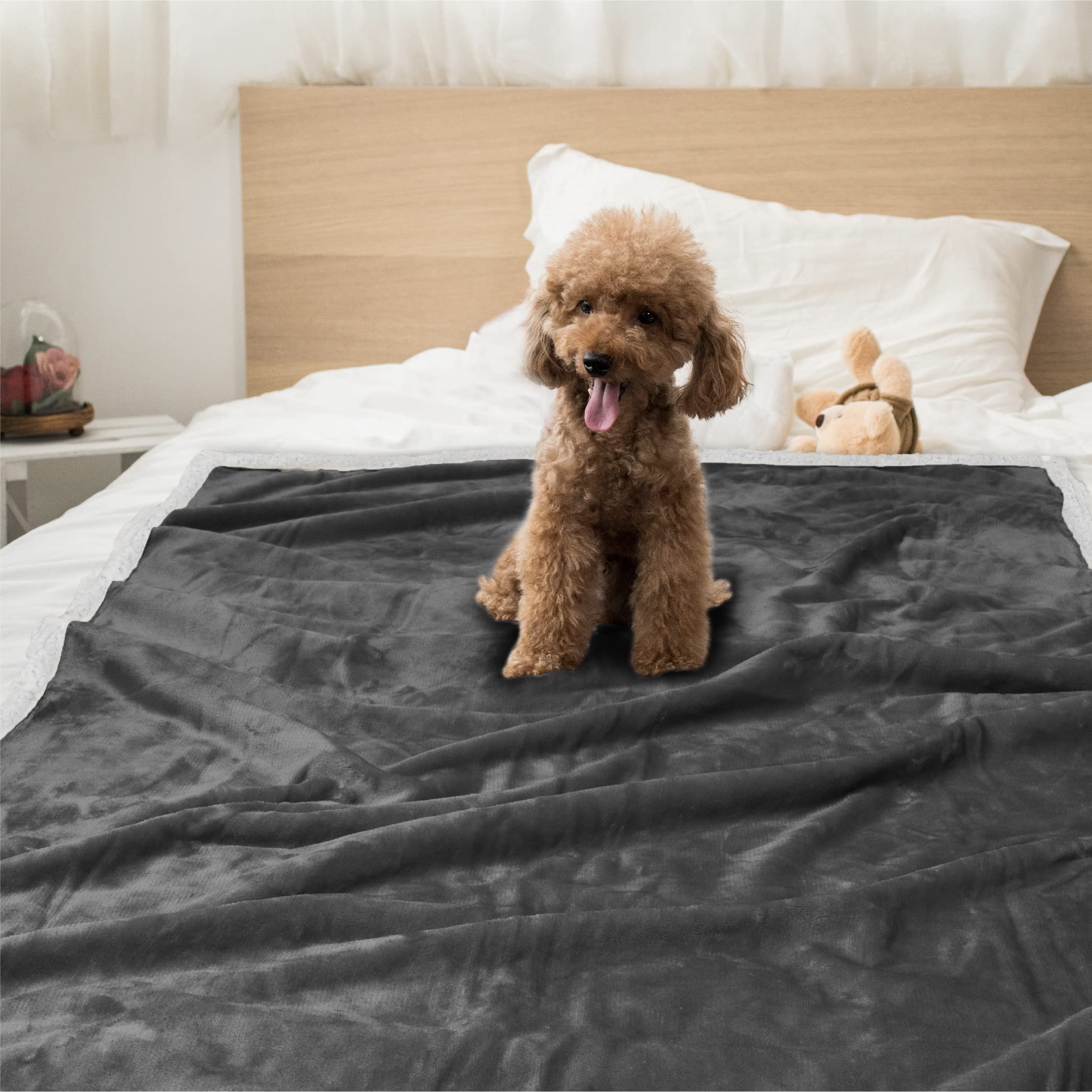 Petami Dog Blanket For Medium Large Dogs, Pet Bed Blanket Cat Puppy Kitten, Fleece Furniture Couch Cover Protector Sofa Car, Soft Sherpa Dog Throw Plush Reversible Washable, 40X60 Dark Gray