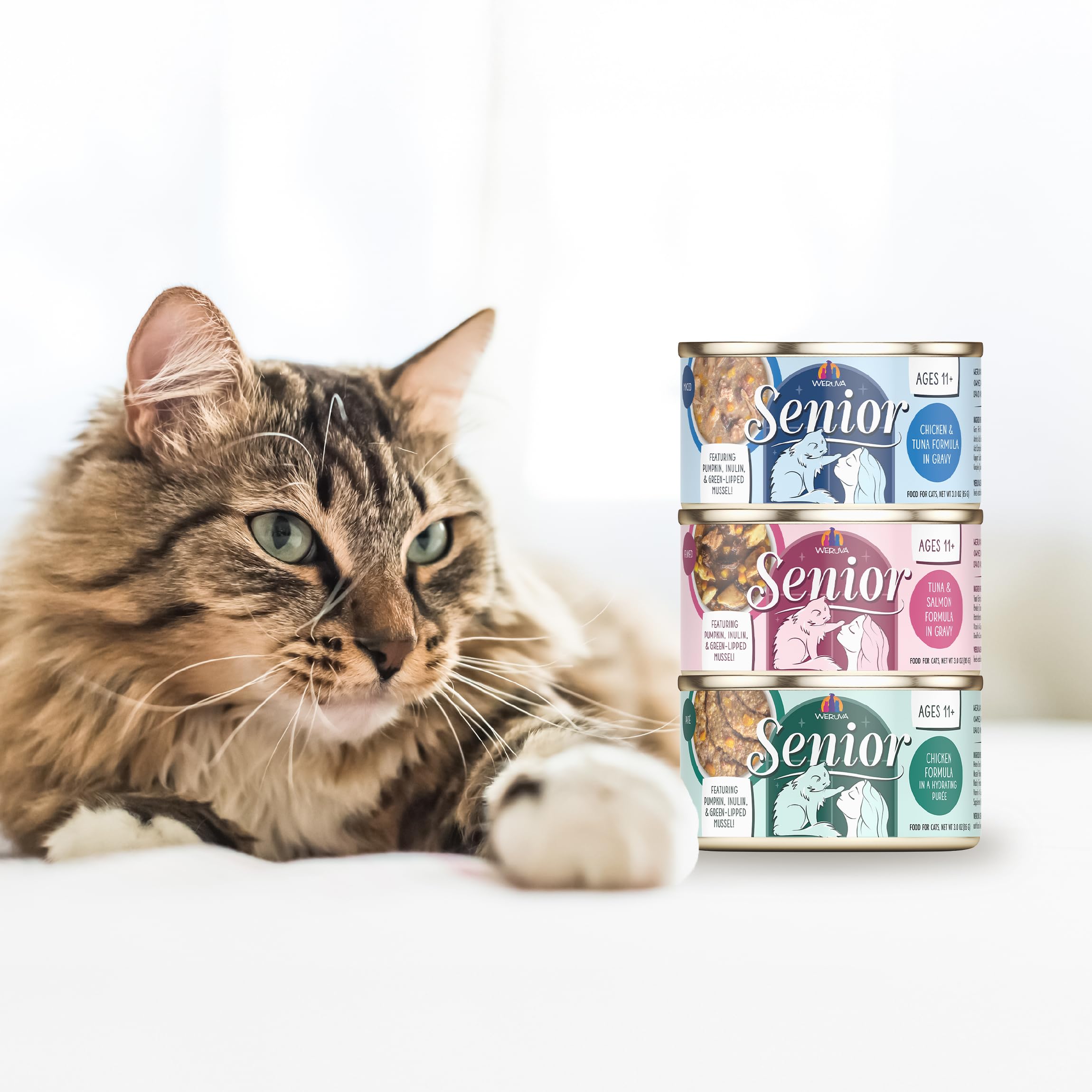 Weruva Senior Cat Food, Chicken in Gravy, 5.5oz Can, Pack of 8