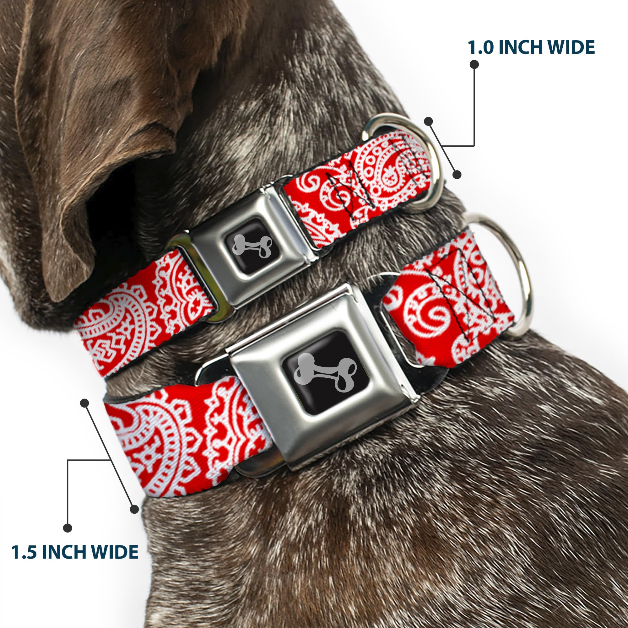 Buckle-Down Seatbelt Buckle Dog Collar - Bandana/Skulls Red/White - 1'' Wide - Fits 11-17'' Neck - Medium